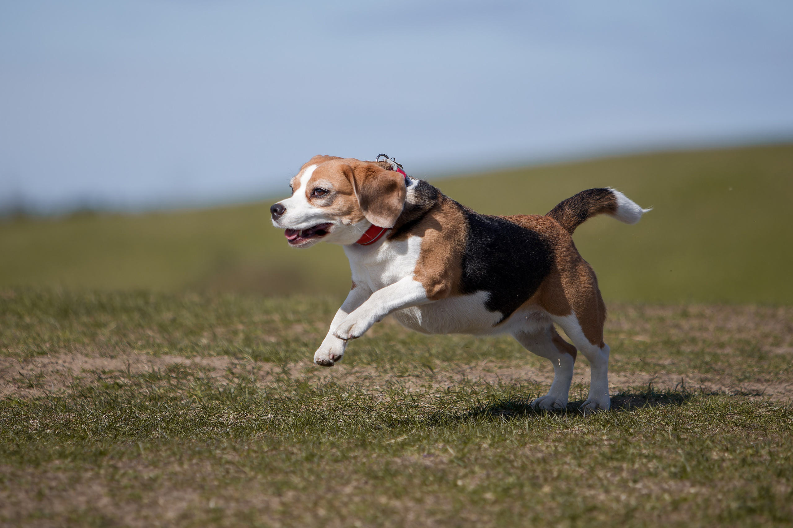 Lure Club 2025. Irenephoto.ru