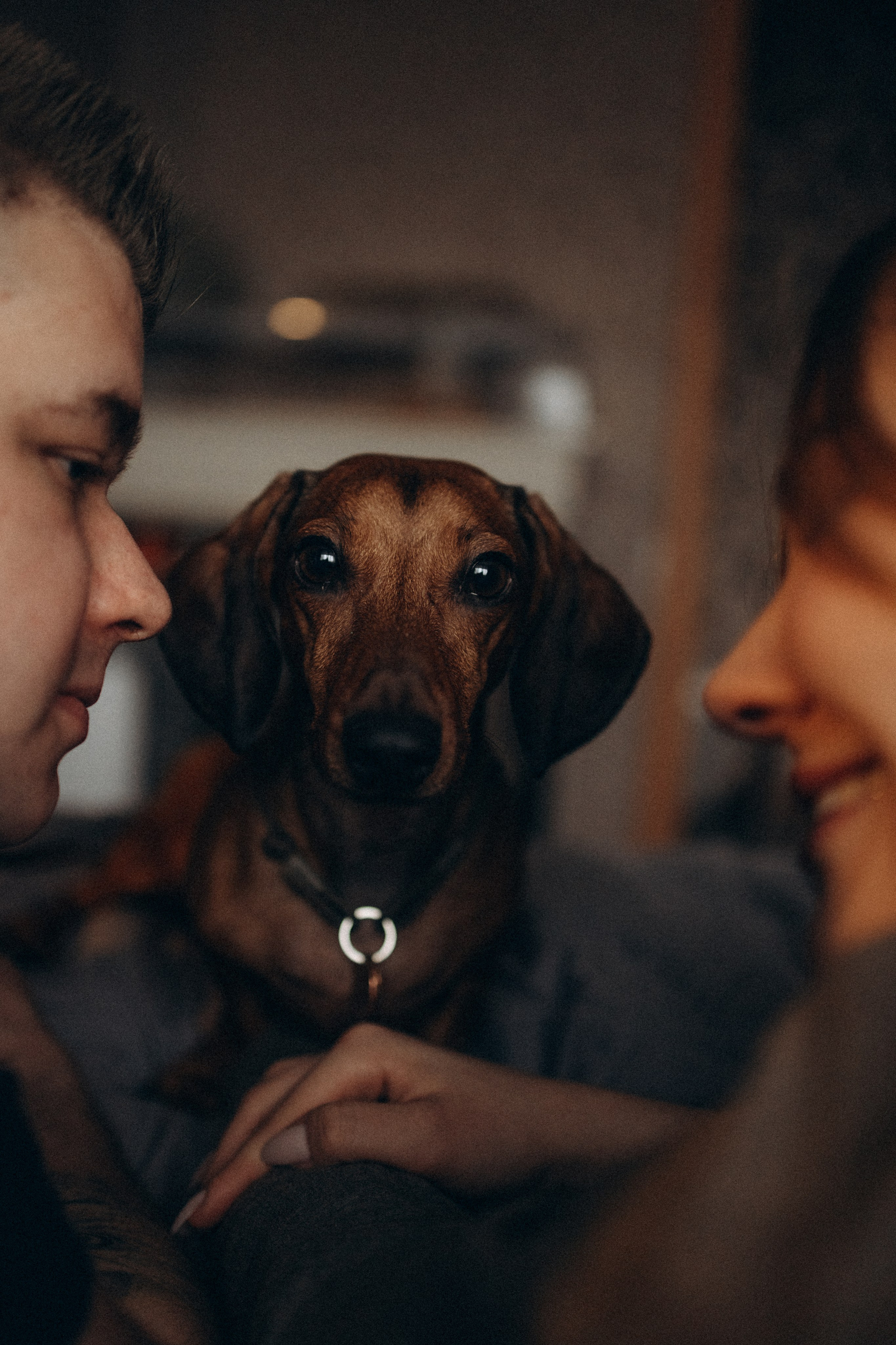 Маша и ее семья. Фотораф — анималист Мария Шистка