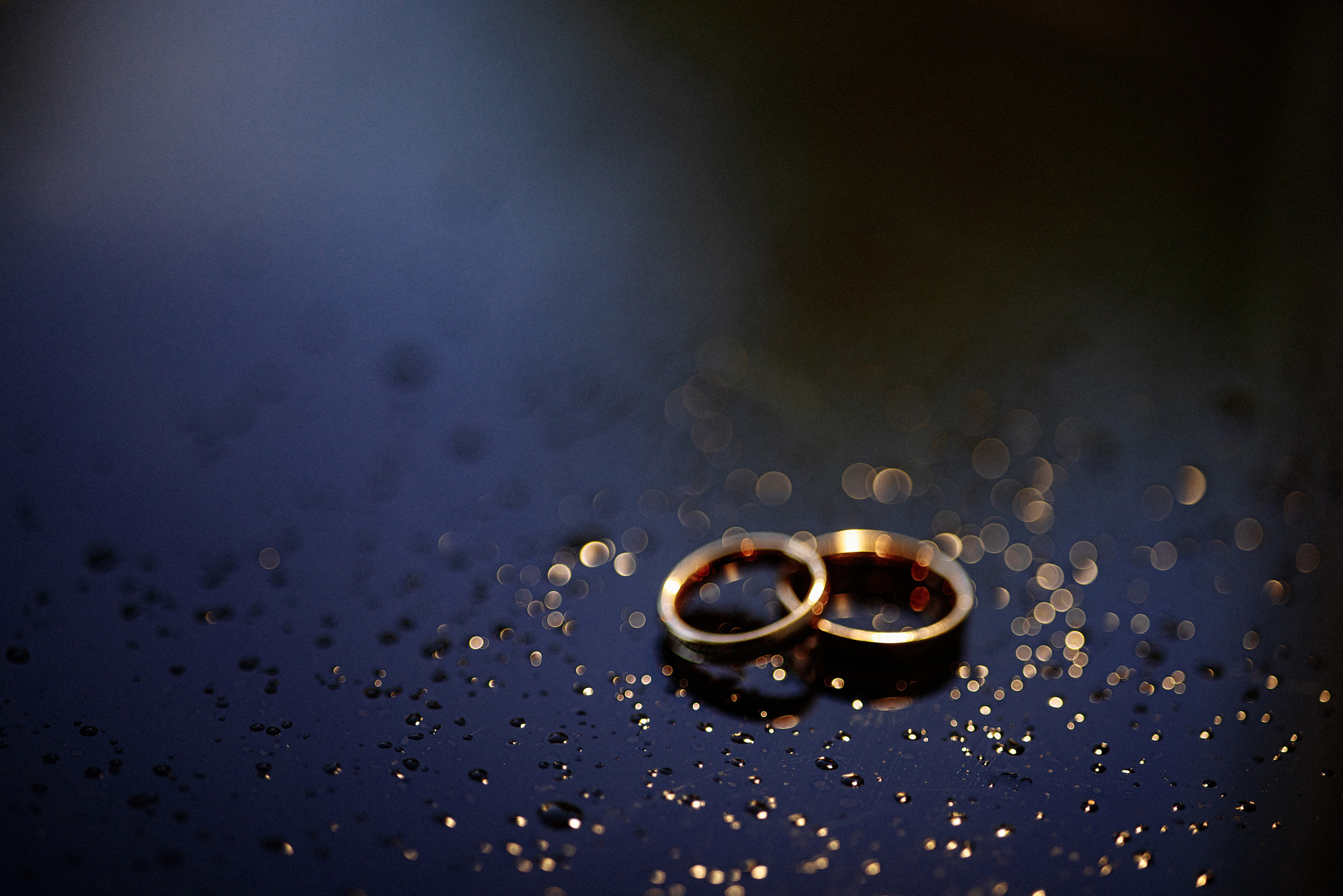 Свадебная. Каплицкая Любовь — фотограф Тверь