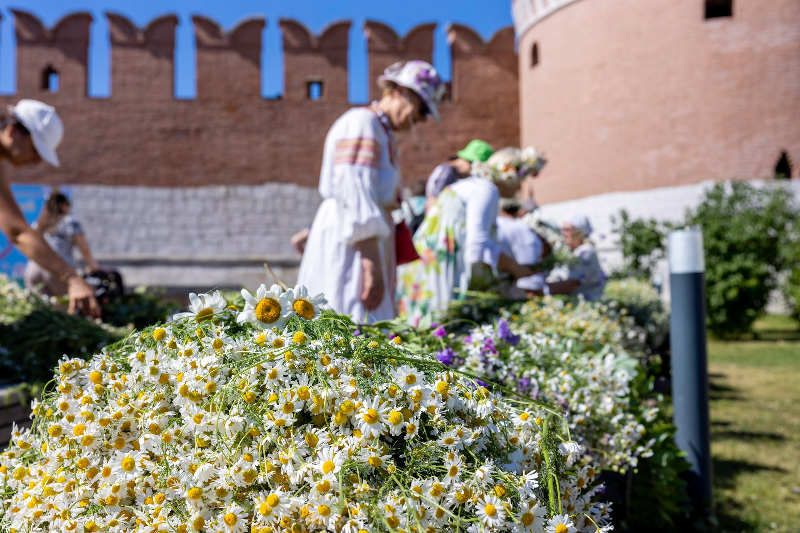 Фестиваль «Ромашковый хоровод». Северная ходьба. Фотограф в Туле Крупский АнДРей. Фотостудия «КАДР71» в Туле