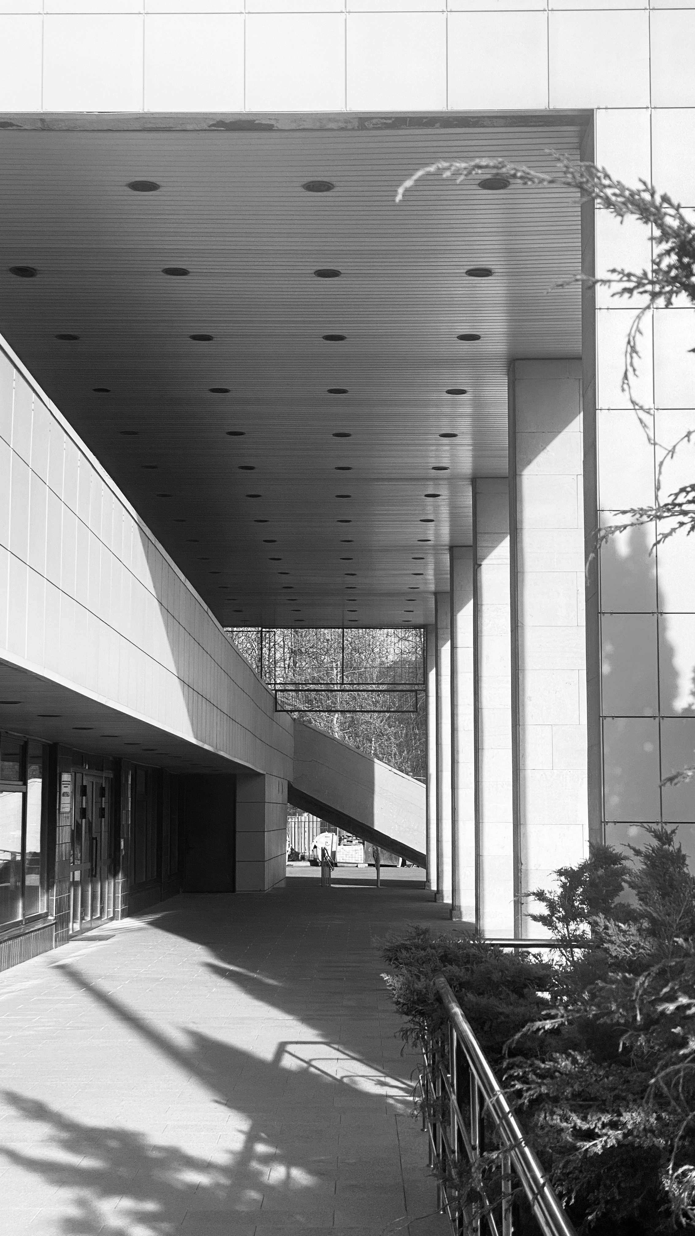 Мобильное фото. Фотограф в Москве Айгуль Евграфова