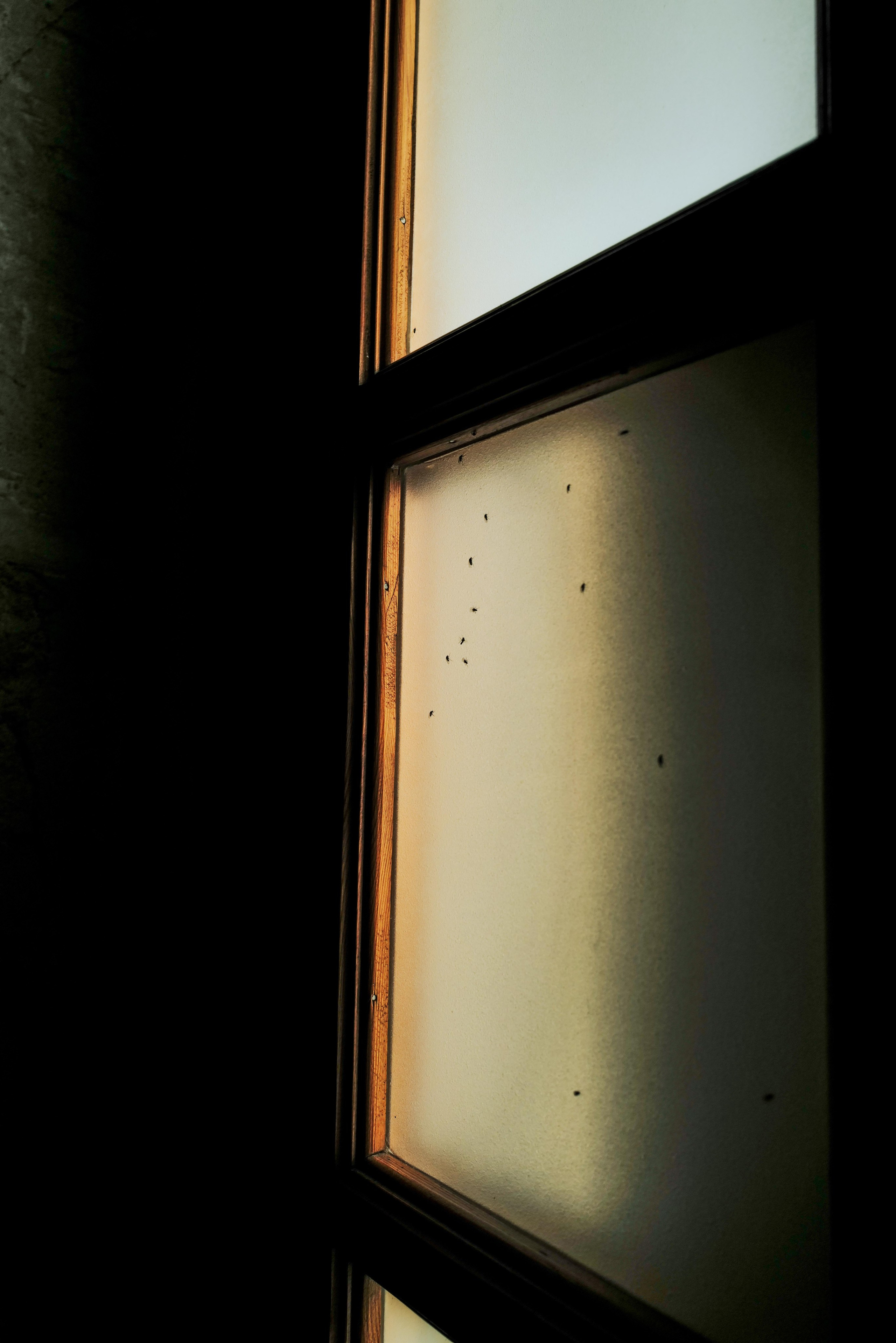 Vladimir. Фотограф Евгения Добротворская