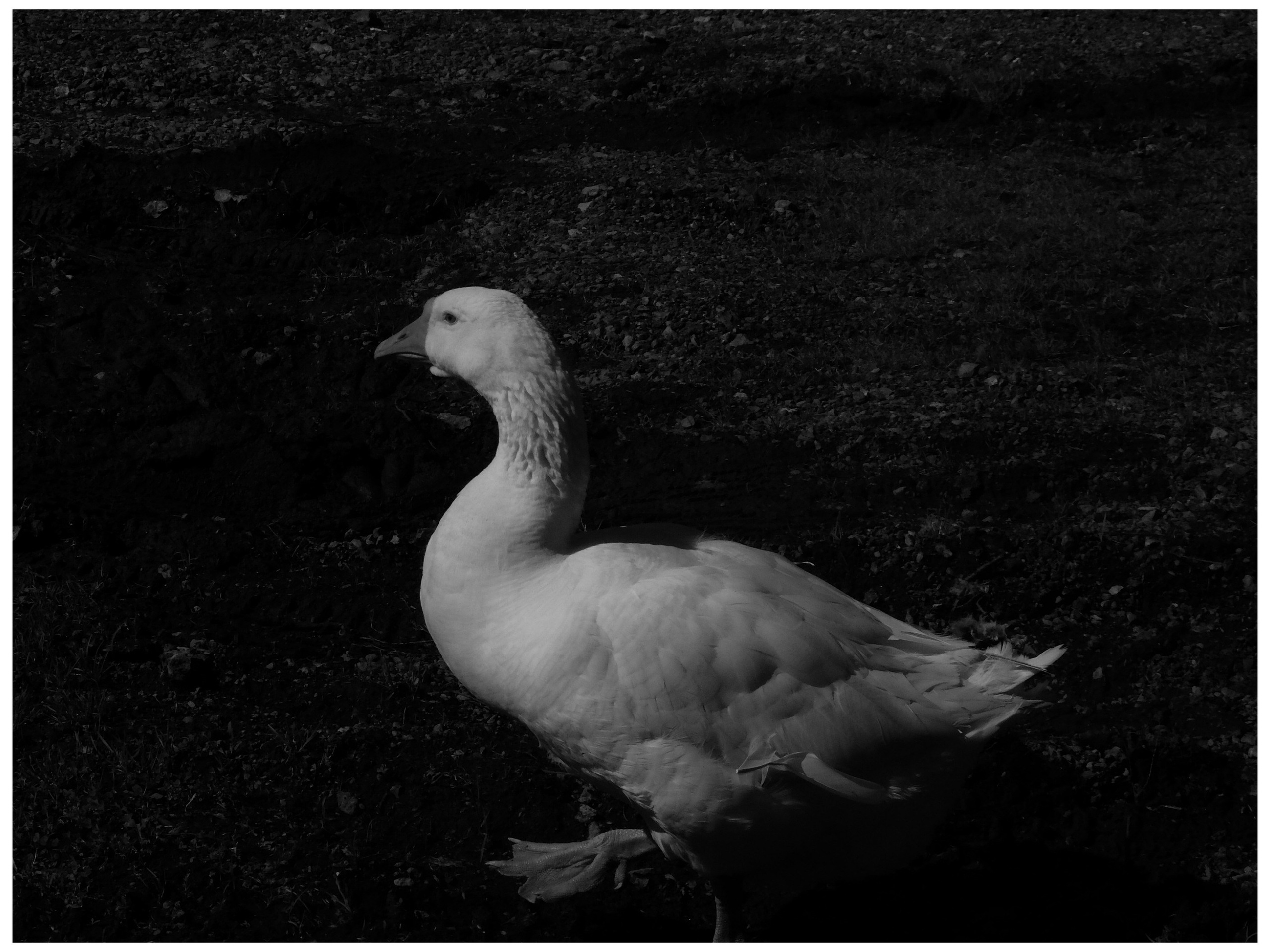 Промежуточные моменты (2022)