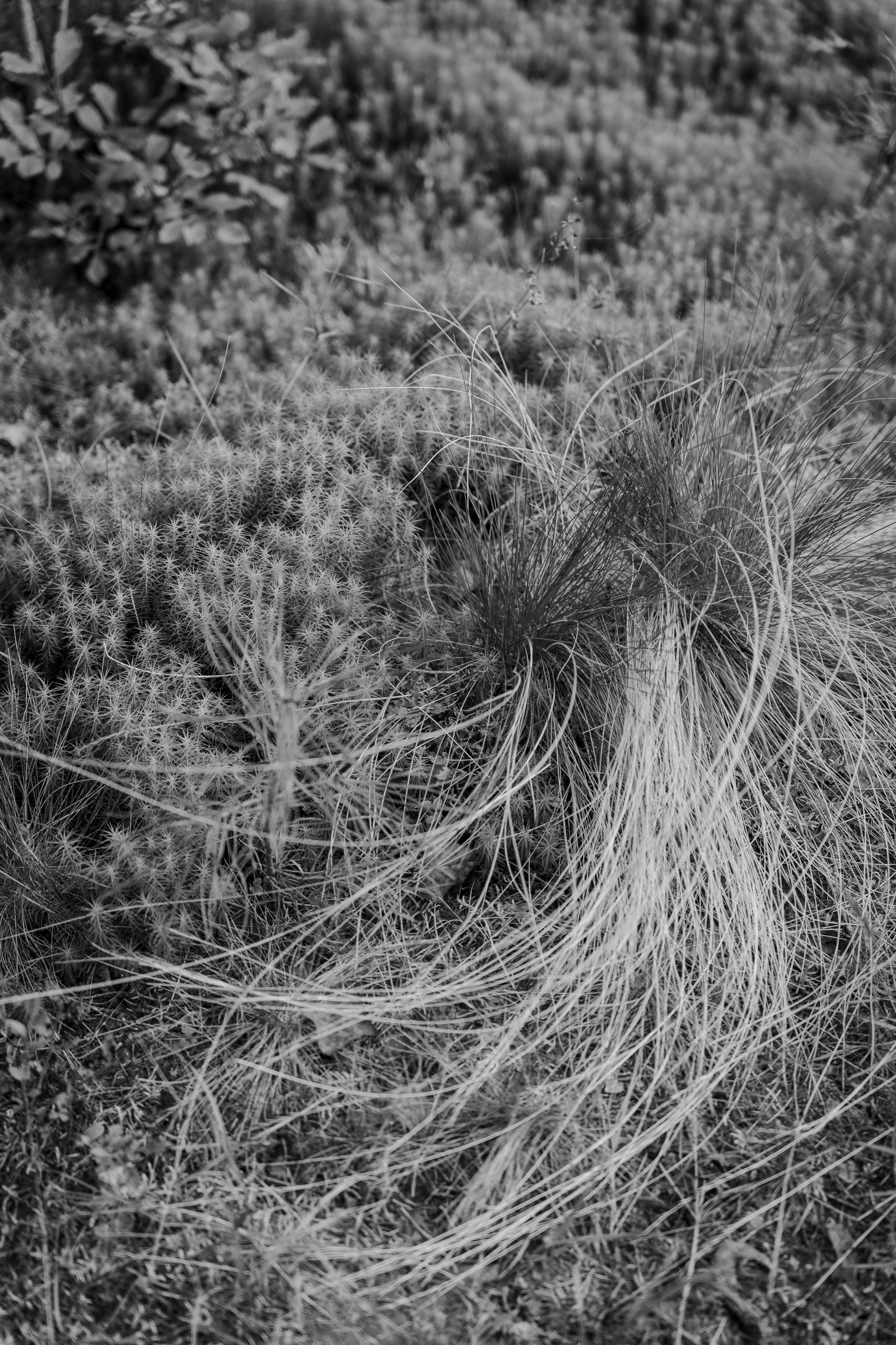 Молчановы. Многолетний проект о молодой семье. Фотограф в Москве Савкина Евгения