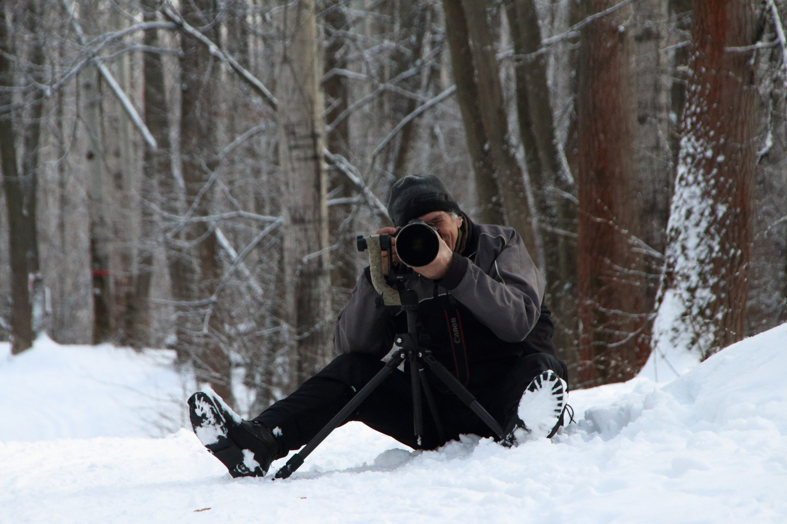06.01.2020 Рождественские гонки на собаках. Фотообъединение Самарского областного отделения Союза журналистов России