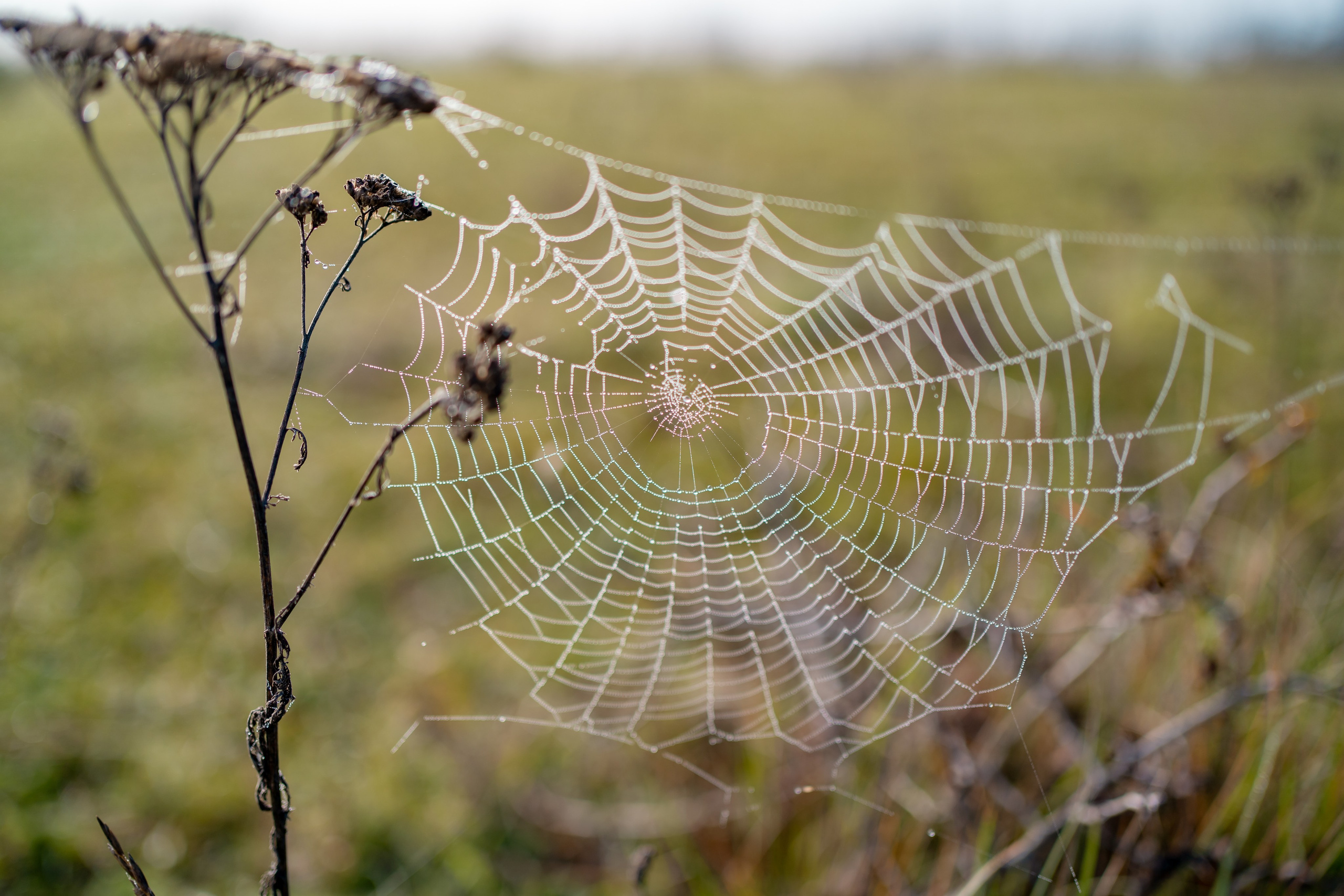 Дагестан. Семейный фотограф Варвара Сорока в городе Москве