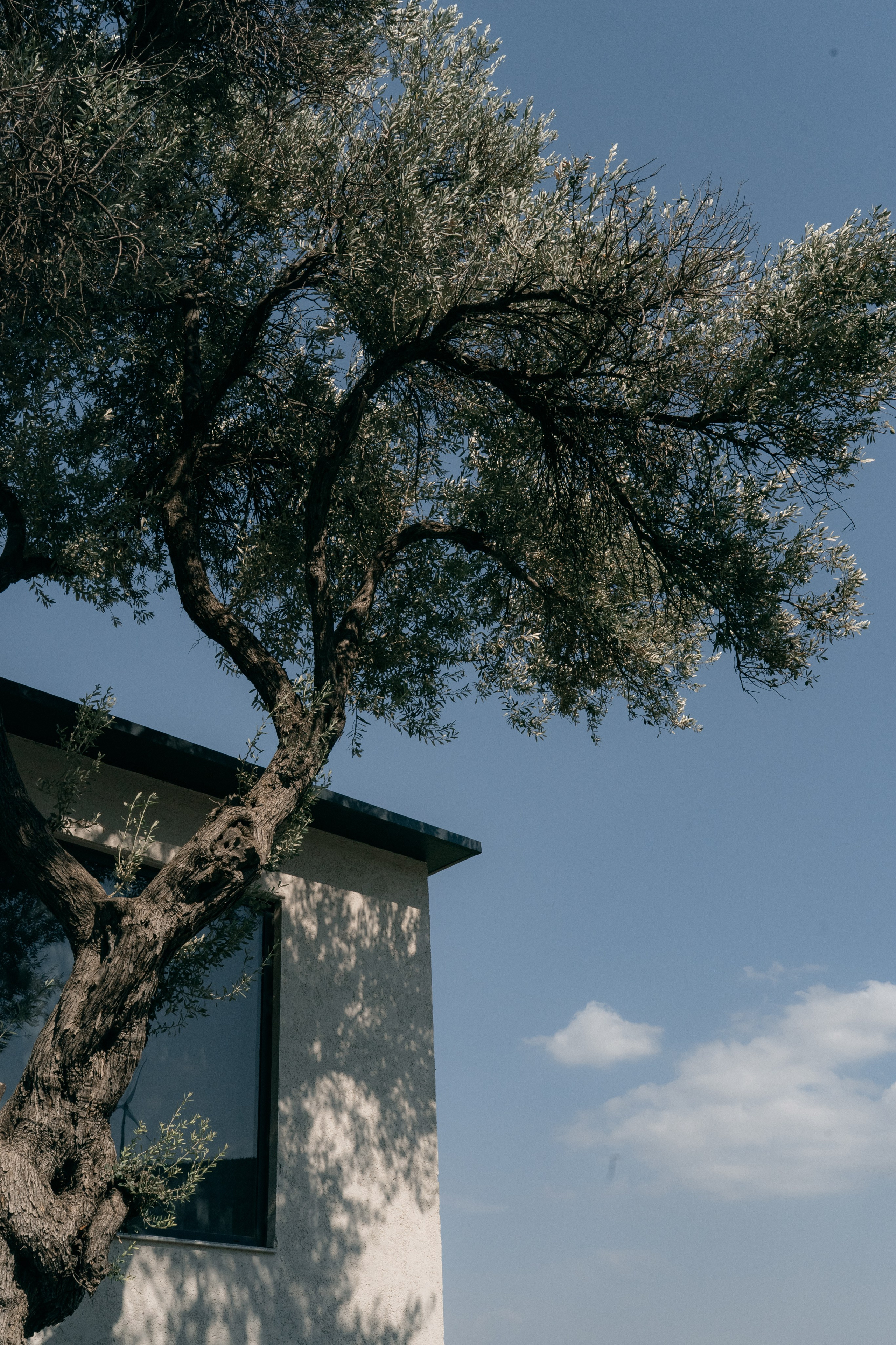 Sunshine in Izmir. Wedding & Documentary Photographer based in Nuremberg — available across Europe & Turkey | Vitalii Nasonov