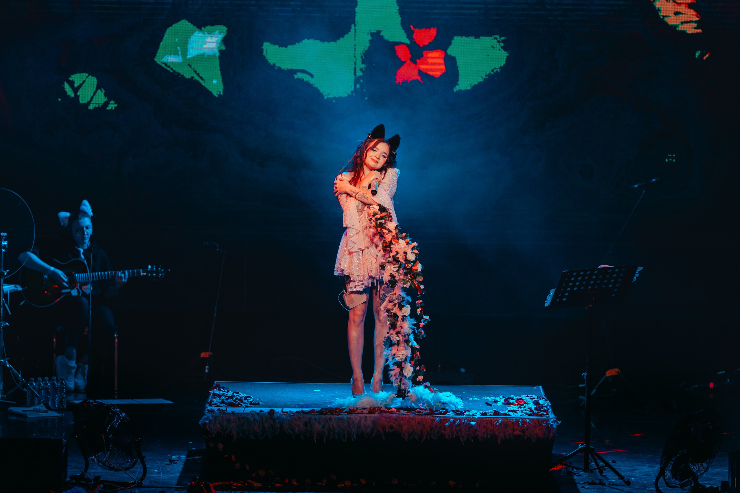 Алена Швец. Магия музыки в кадре: Концертная Фотография