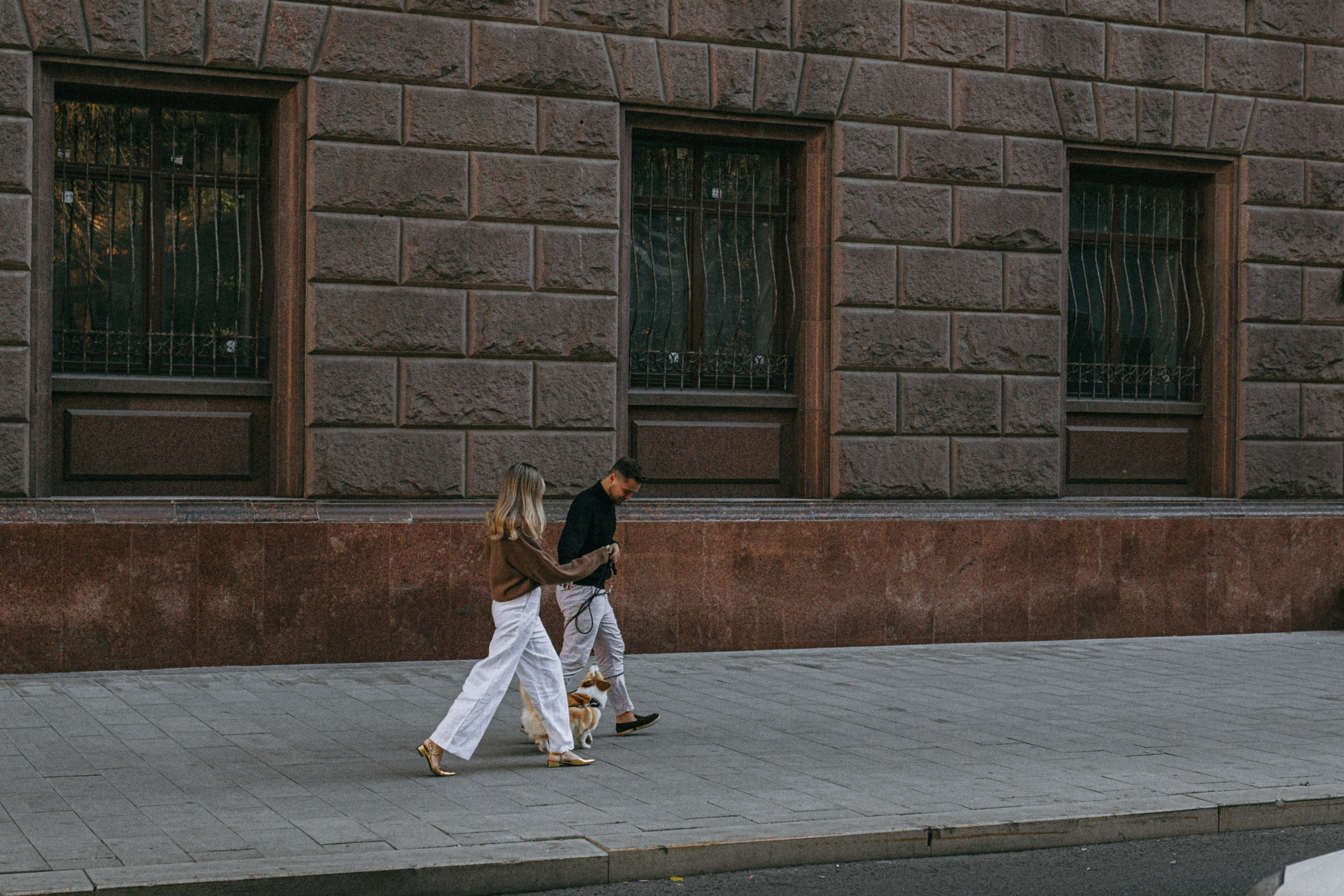 Даша, Рома и Лесли. Фотораф — анималист Мария Шистка