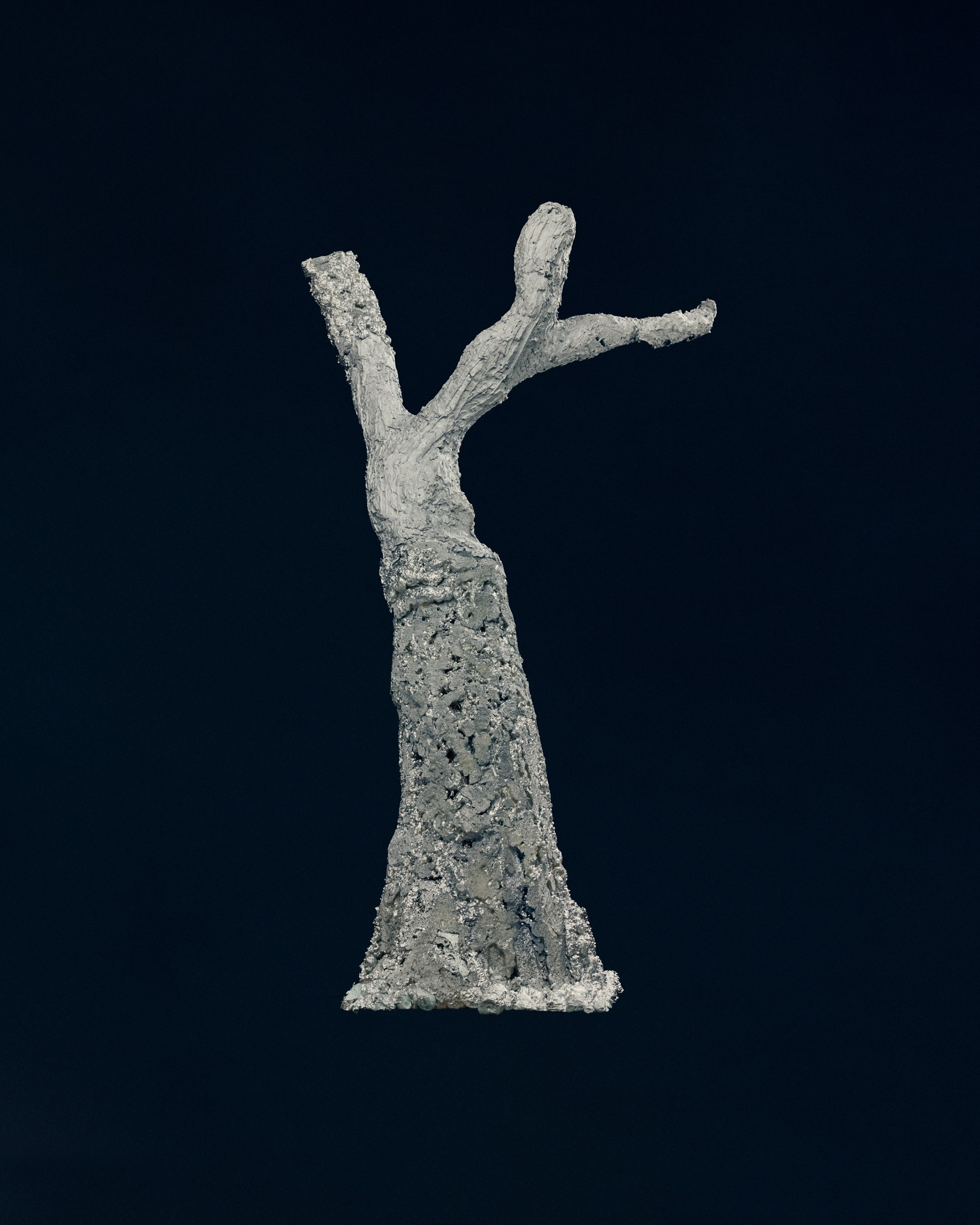 Campaign «The Silver Tree» for Ex8'25. Vasiliy Shvetsov