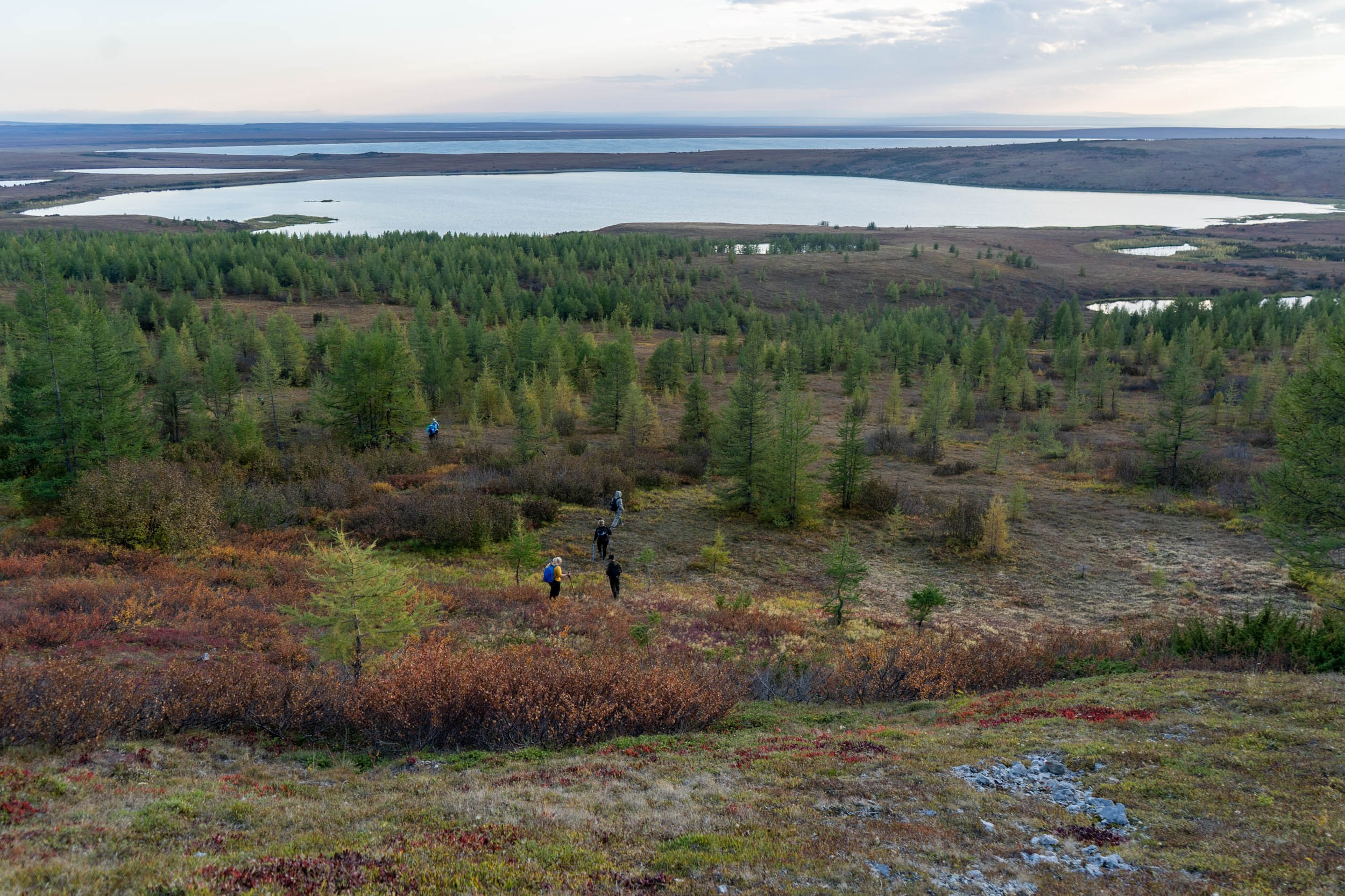 Рифы девонского моря. Фотограф Екатерина Зорина