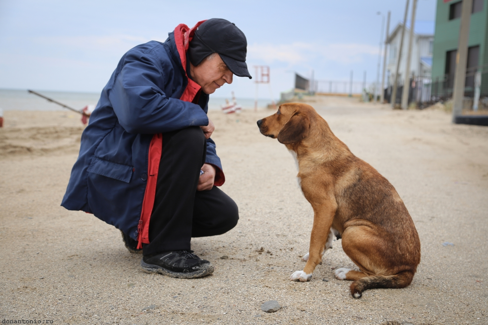 Портреты с Доном