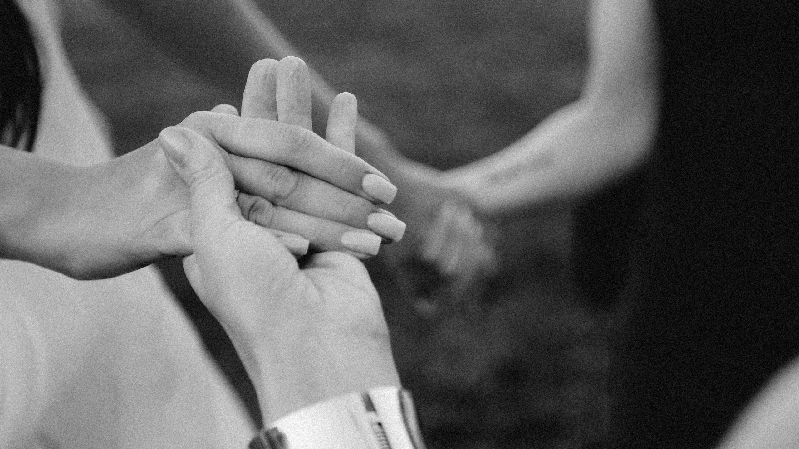 Аркея. Свадебный Видеограф Фотограф в Сочи