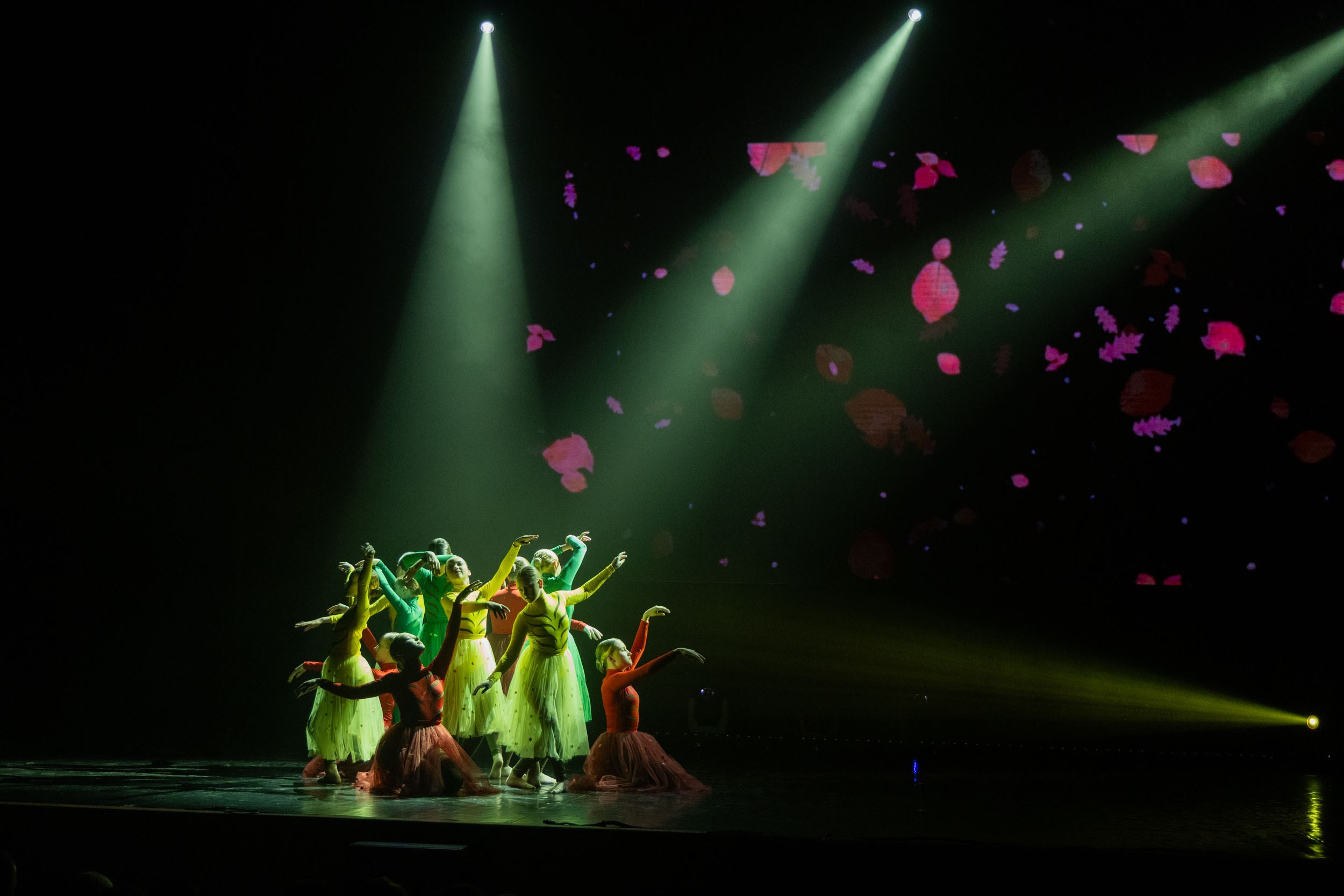 Юбилейный отчетный концерт хореографической мастерской