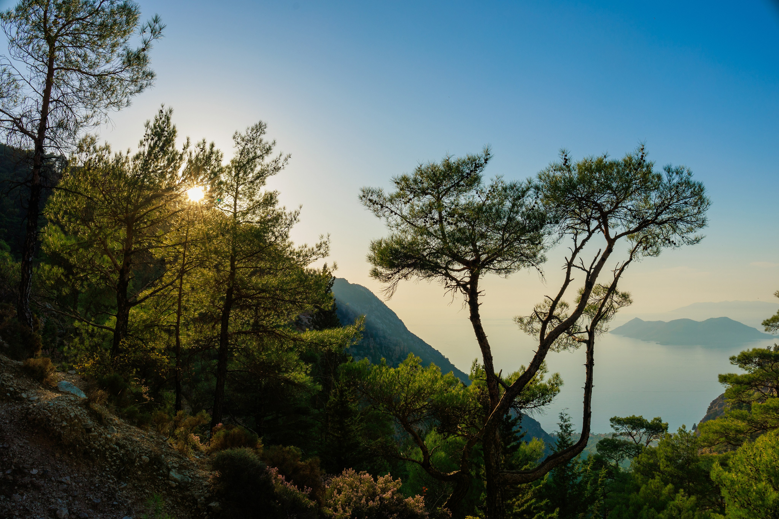 Travel. Индивидуальная и семейная съёмка. Москва, Наталья Самохвалова