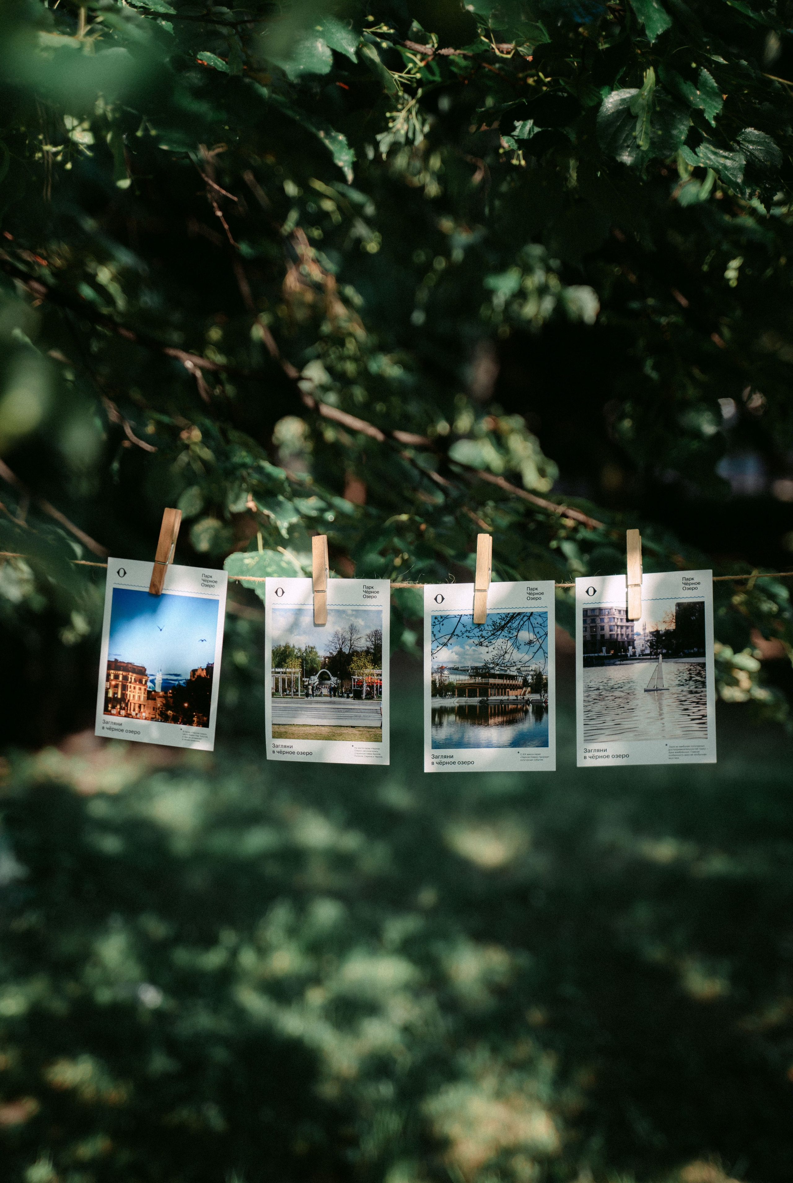 «Парки рядом» / мерч дирекции парков и скверов РТ. Саша Копылов, фотограф в Казани