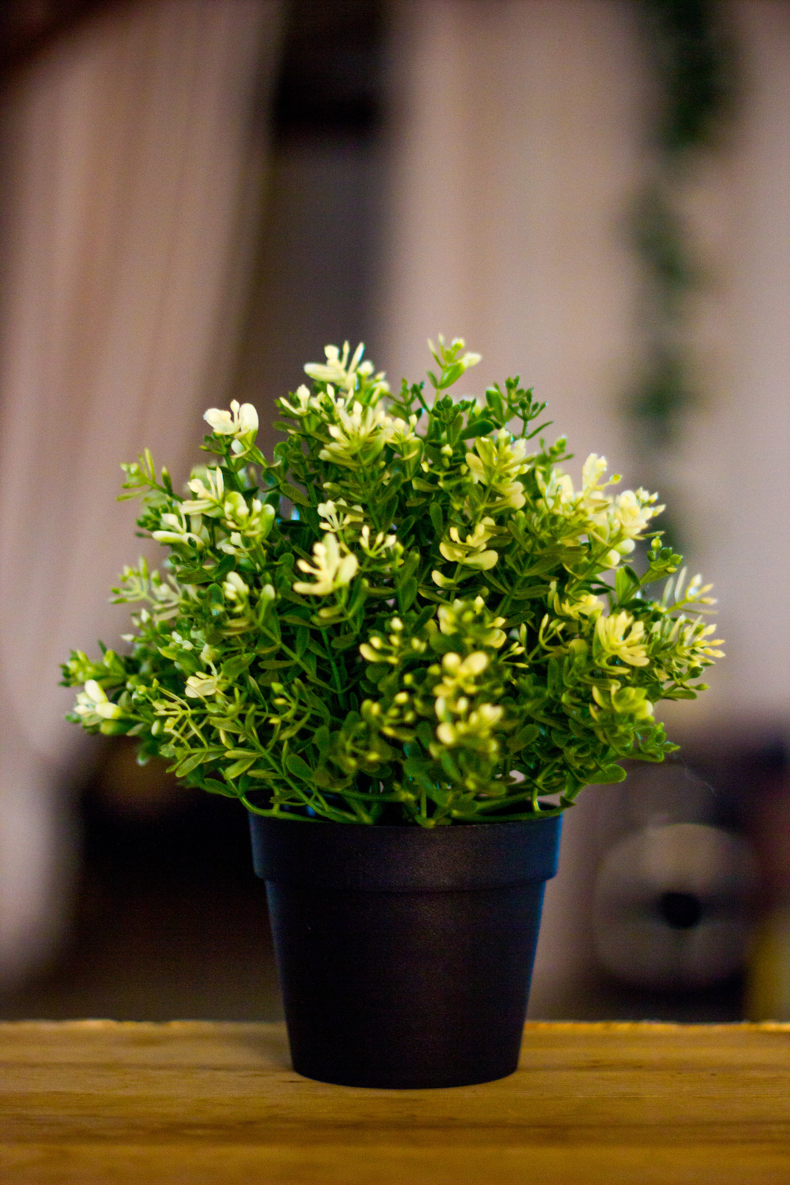 Разные фото Краснодарского Края. Ваш семейный фотограф Евгения в г. Москва