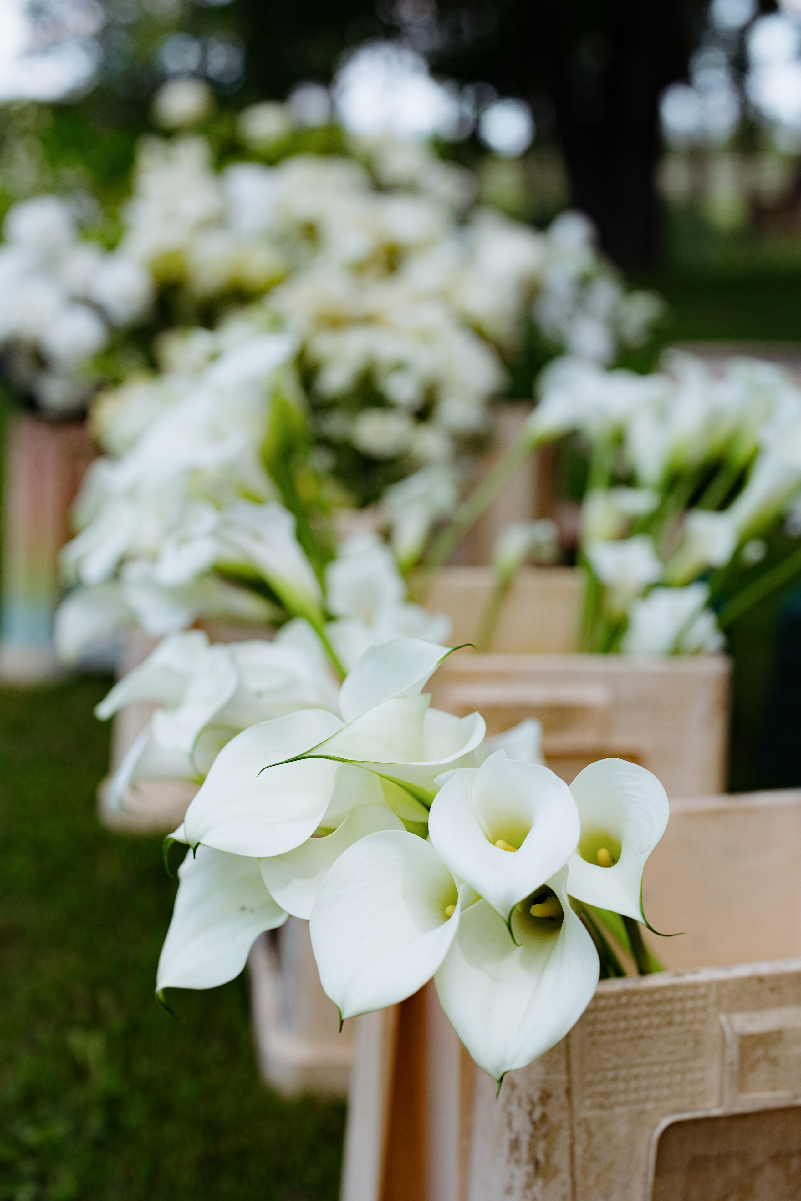 Влад и Алена | 2024. Свадебный фотограф и видеографы Минск