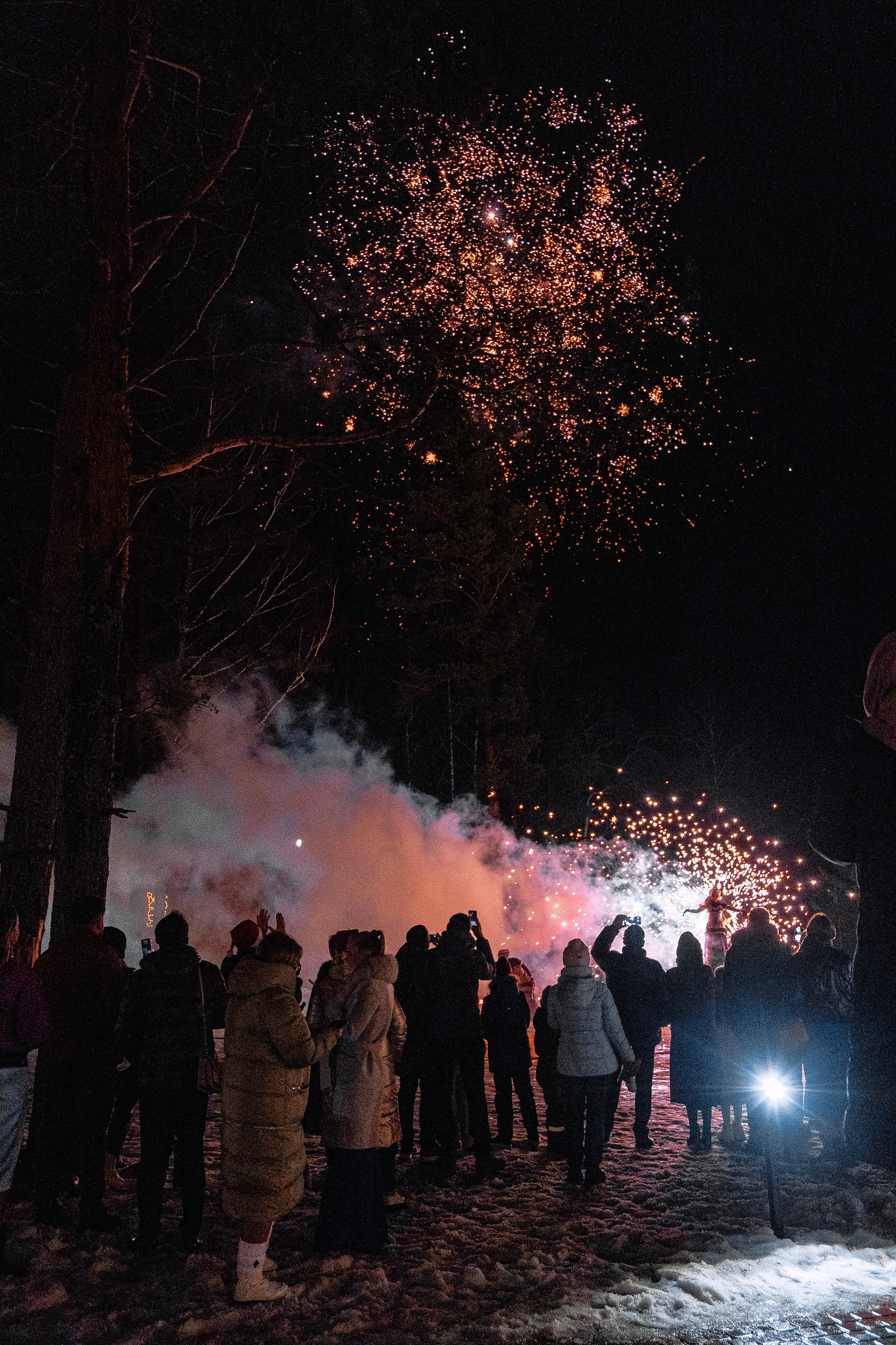 Новогодняя ночь в загородном клубе «Жемчужина». Фотограф Мария Хлебникова Санкт-Петербург Москва