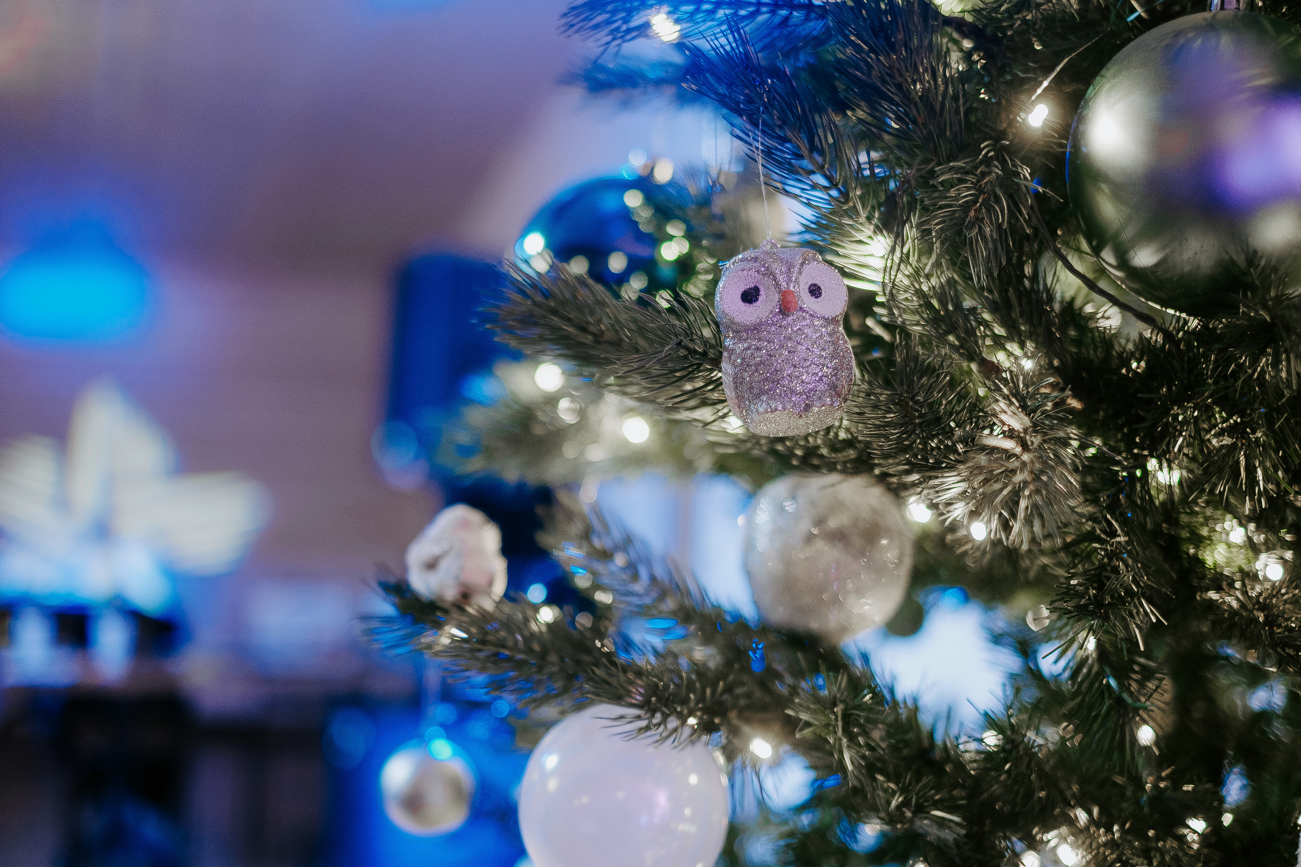 Объединенный корпоратив. Фотограф Мария Хлебникова Санкт-Петербург Москва
