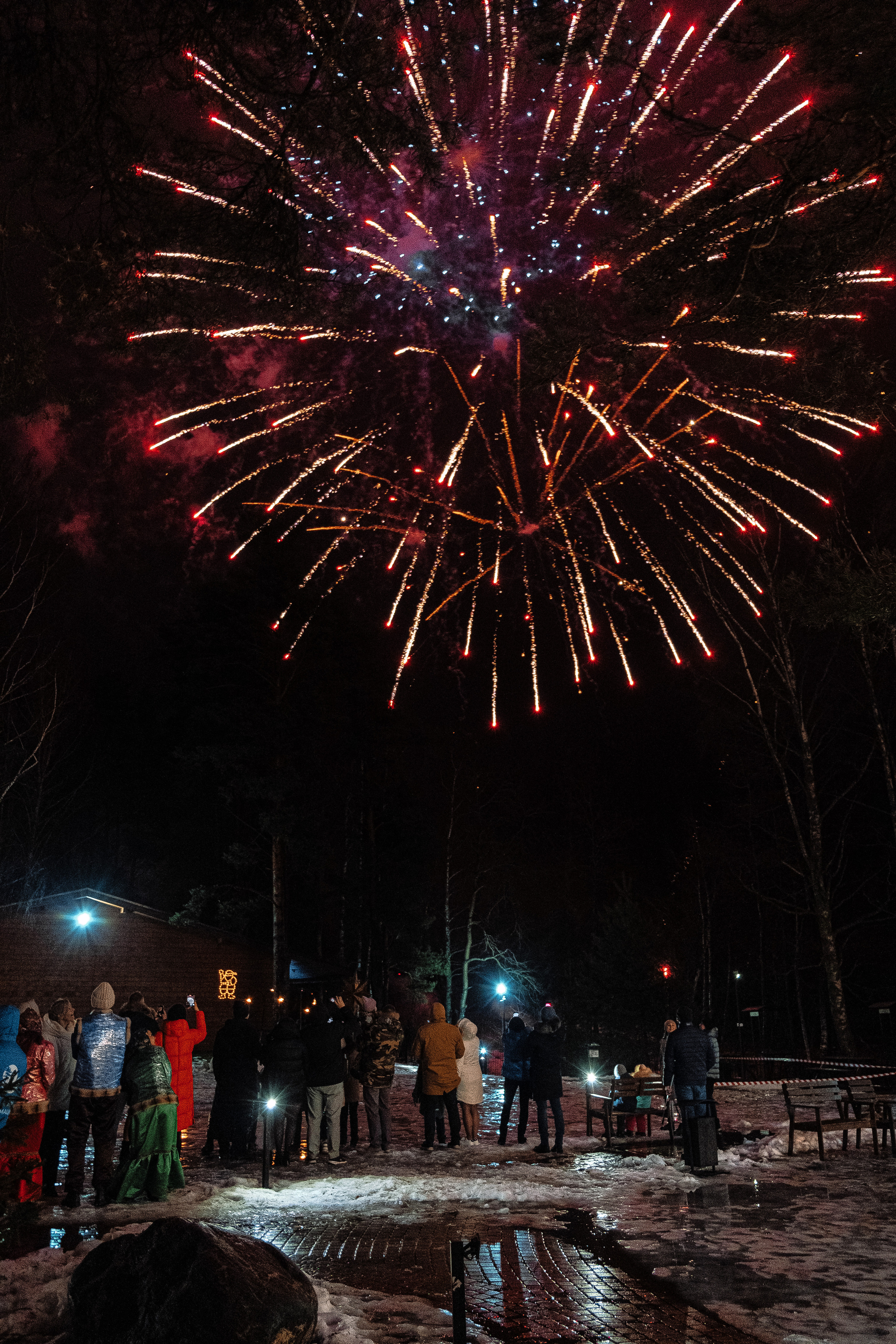 Новогодняя ночь в загородном клубе «Жемчужина». Фотограф Мария Хлебникова Санкт-Петербург Москва