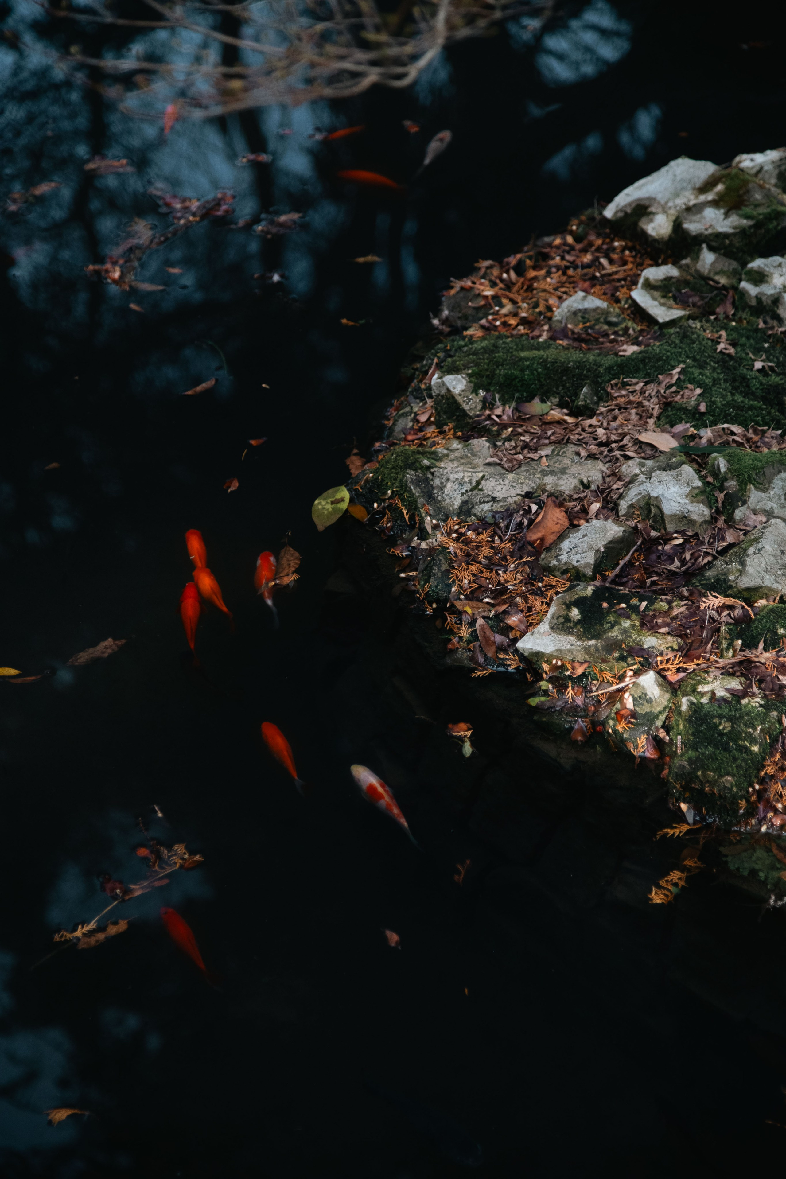 Batumi. Dmitriy [KCCC] is a pretty cool photographer