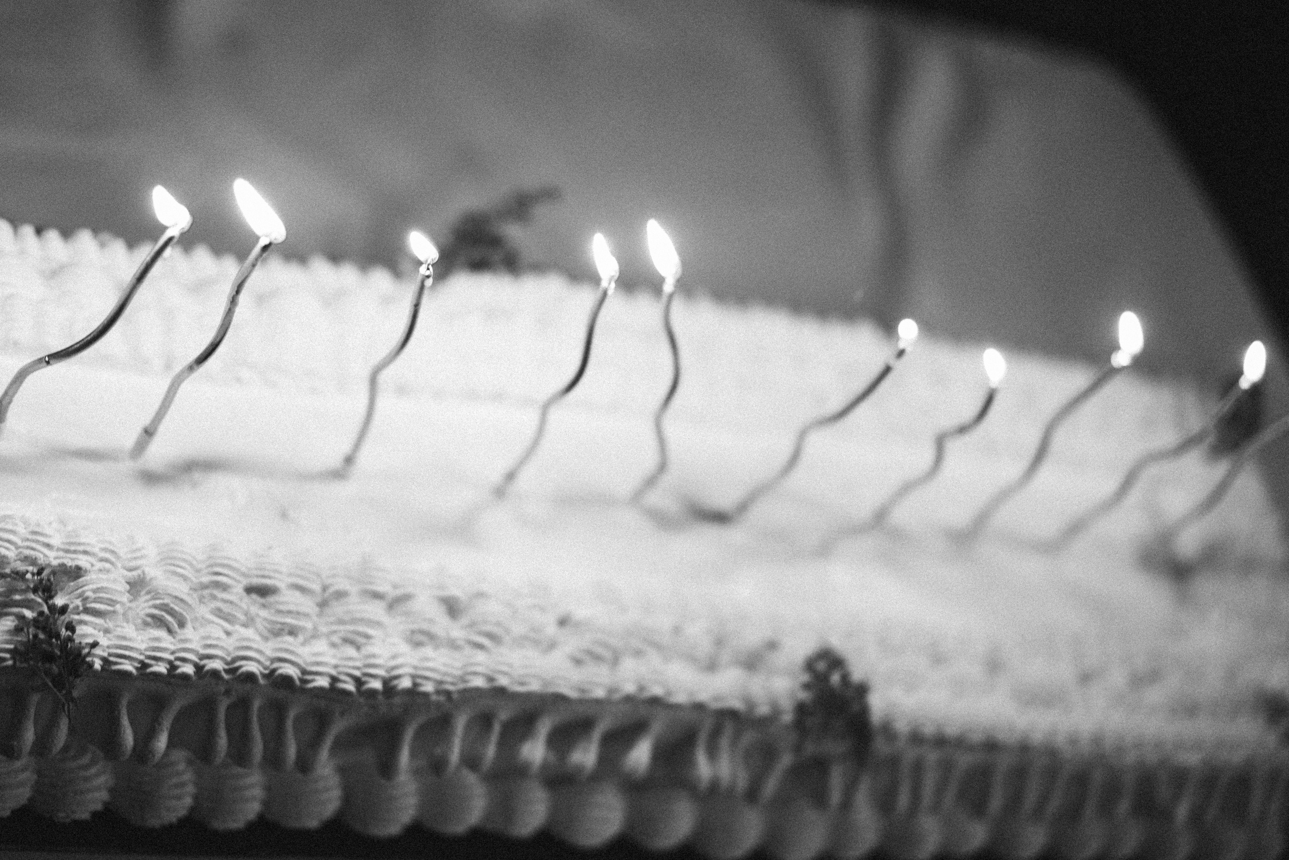 Даниэль и Виктория. Wedding and family photographer