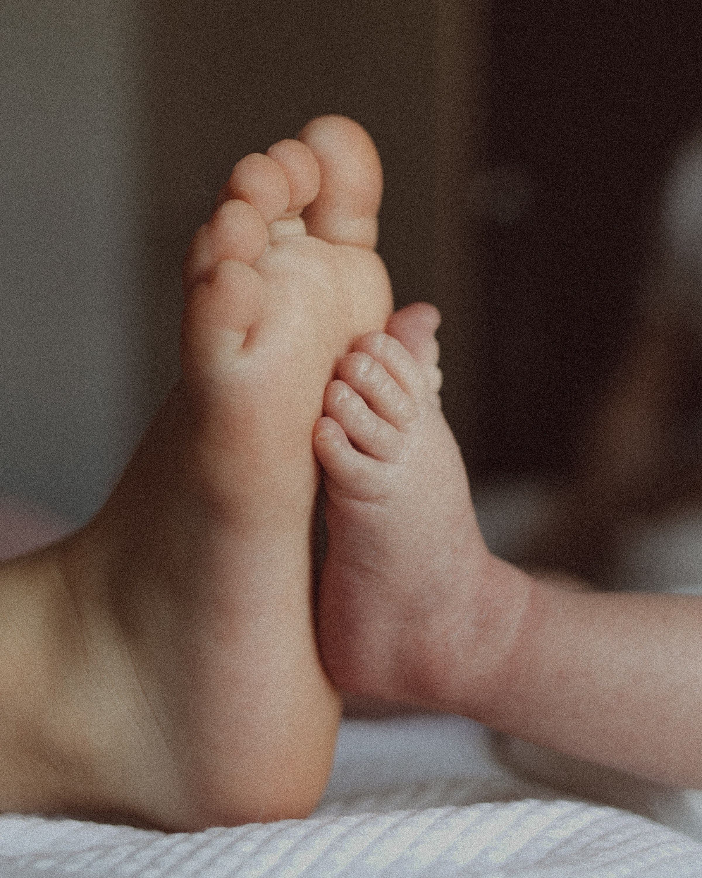 Лев родился. Фотограф Ксения Степаненко