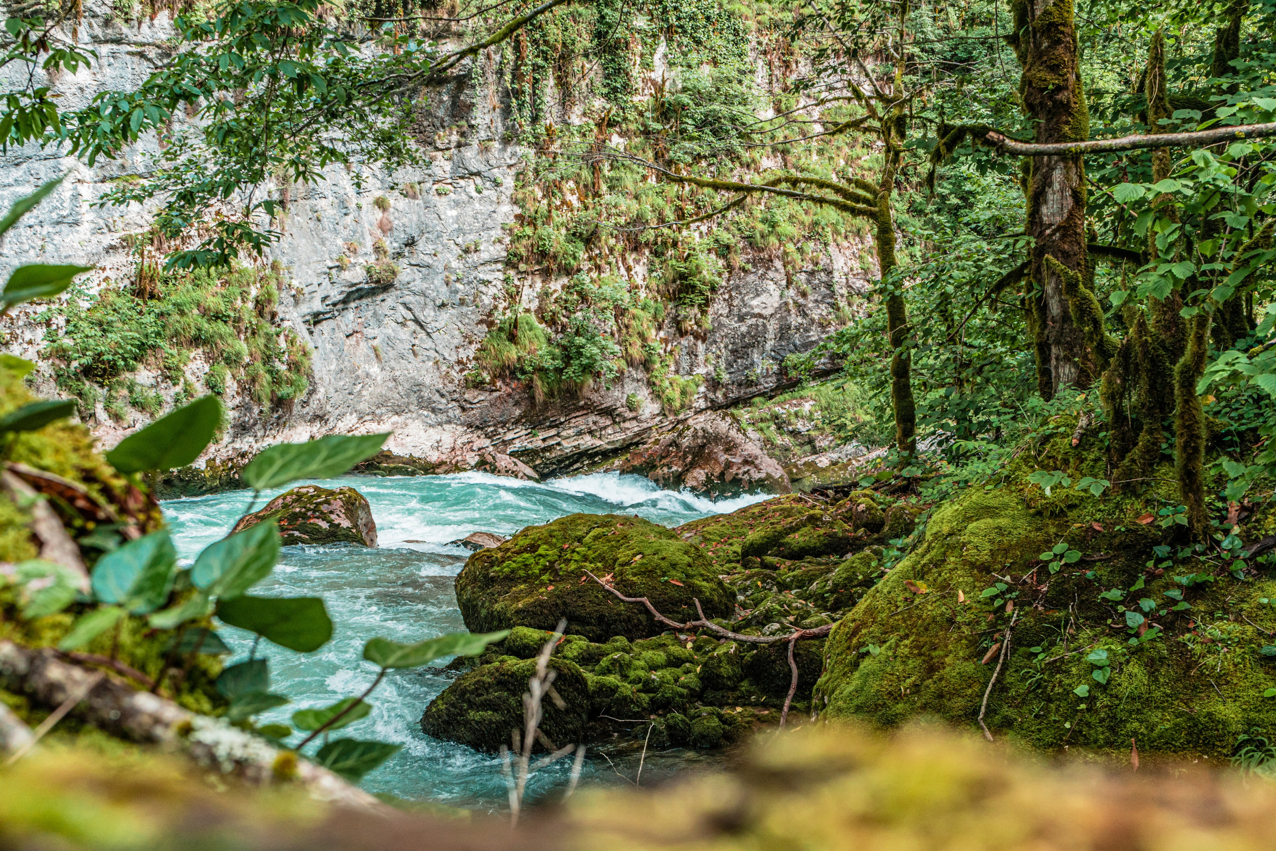Натура. Владислав Кожух | Фотограф | Видеограф | Режиссёр