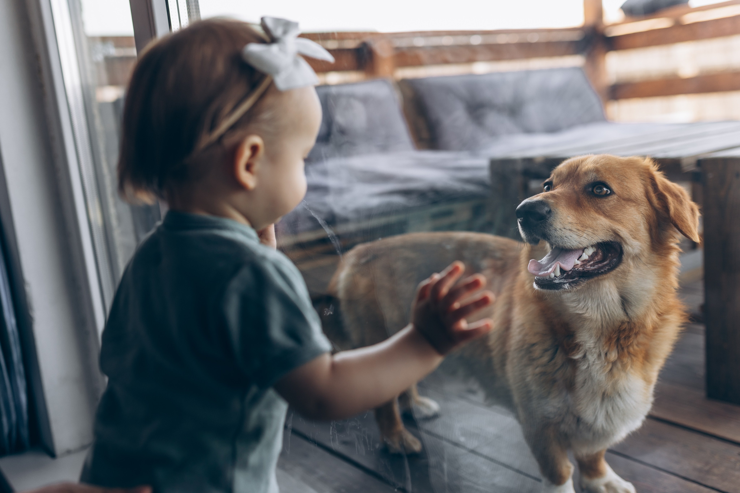 Захар, Александра и малышка Виктория. Семейный, свадебный фотограф в Чите Екатерина Мельникова