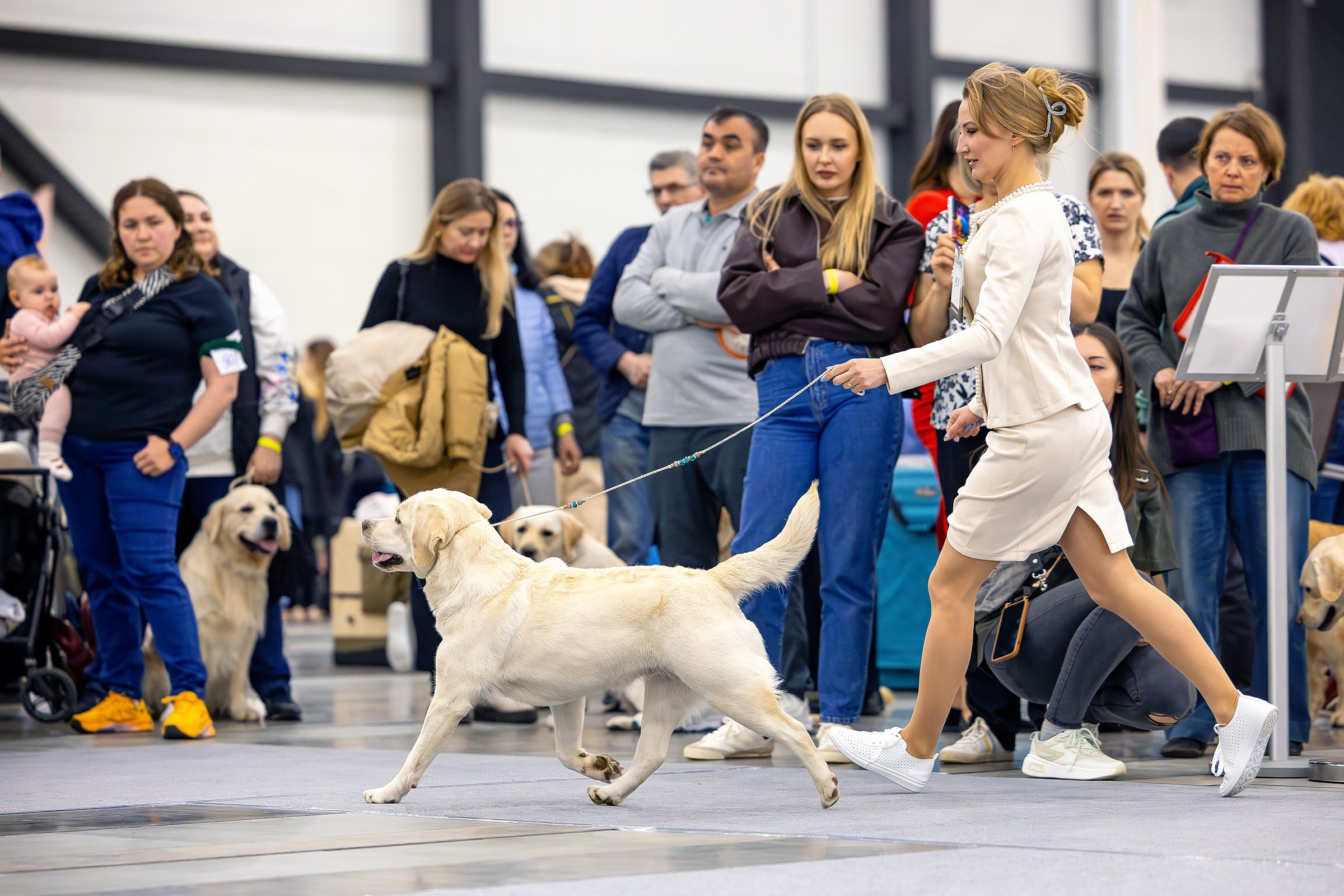26–27 апреля 2025, Выставка РКФ, г. Санкт-Петербург. Htykk_photo