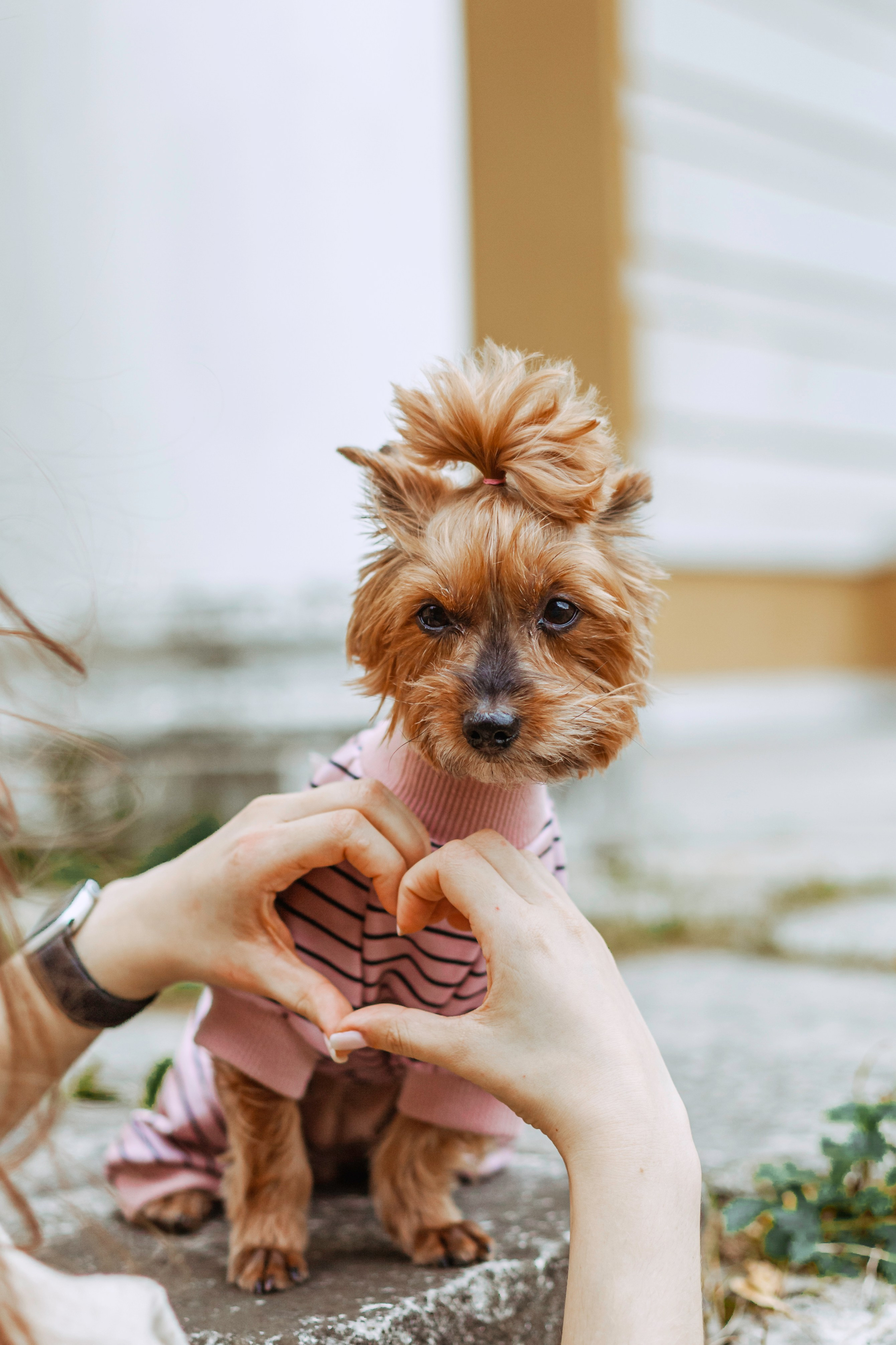 Катя и Моня. Фотограф-анималист Татьяна Степанова