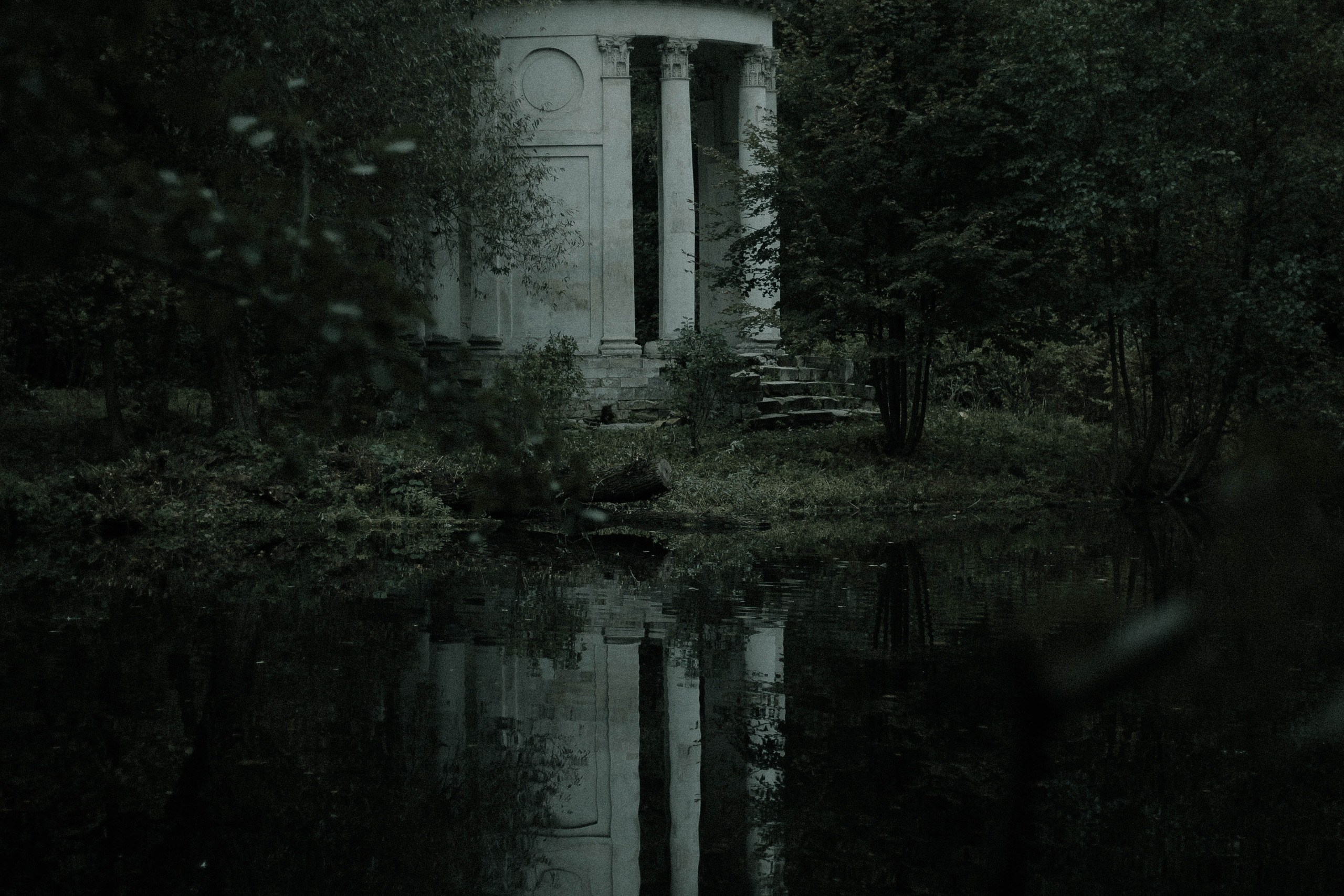Ольга Венгель. Фотограф, режиссёр, художник Аполлинария Лиманская