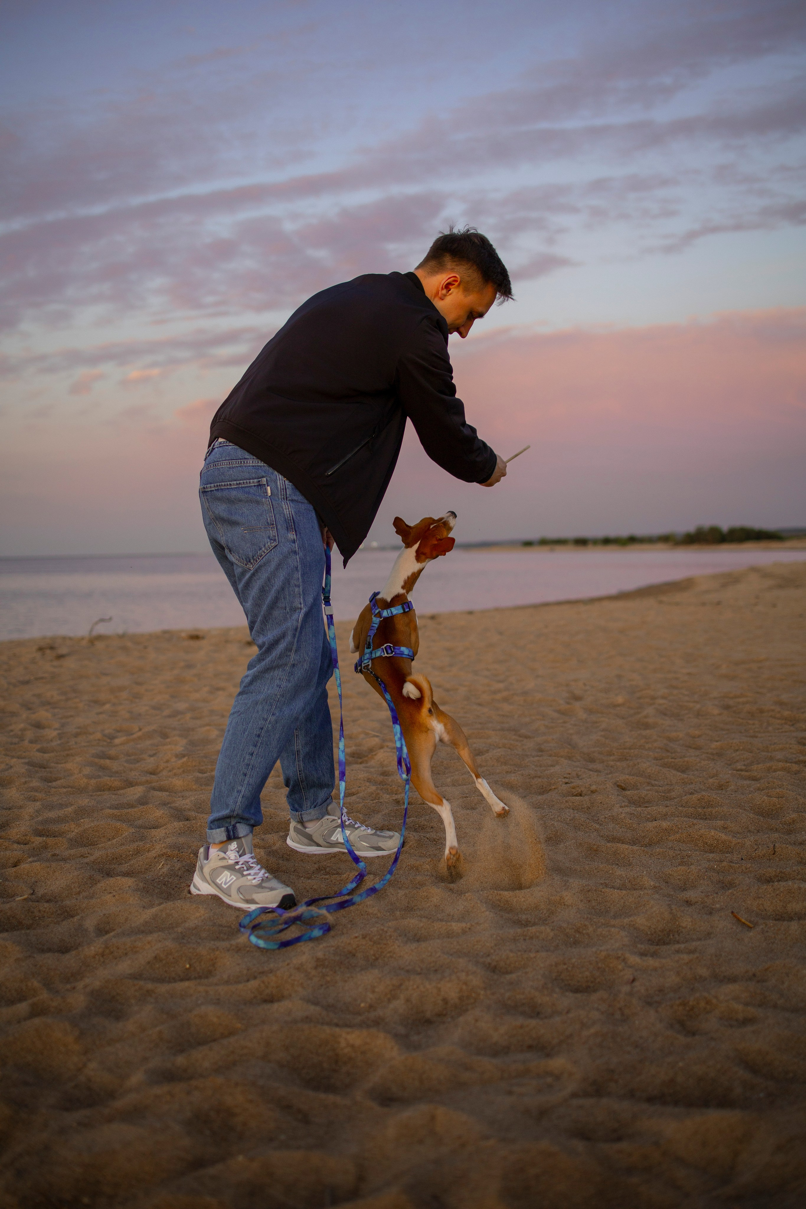 Лео и Саша. Фотограф-анималист в Санкт-Петеребурге Титова Алиса