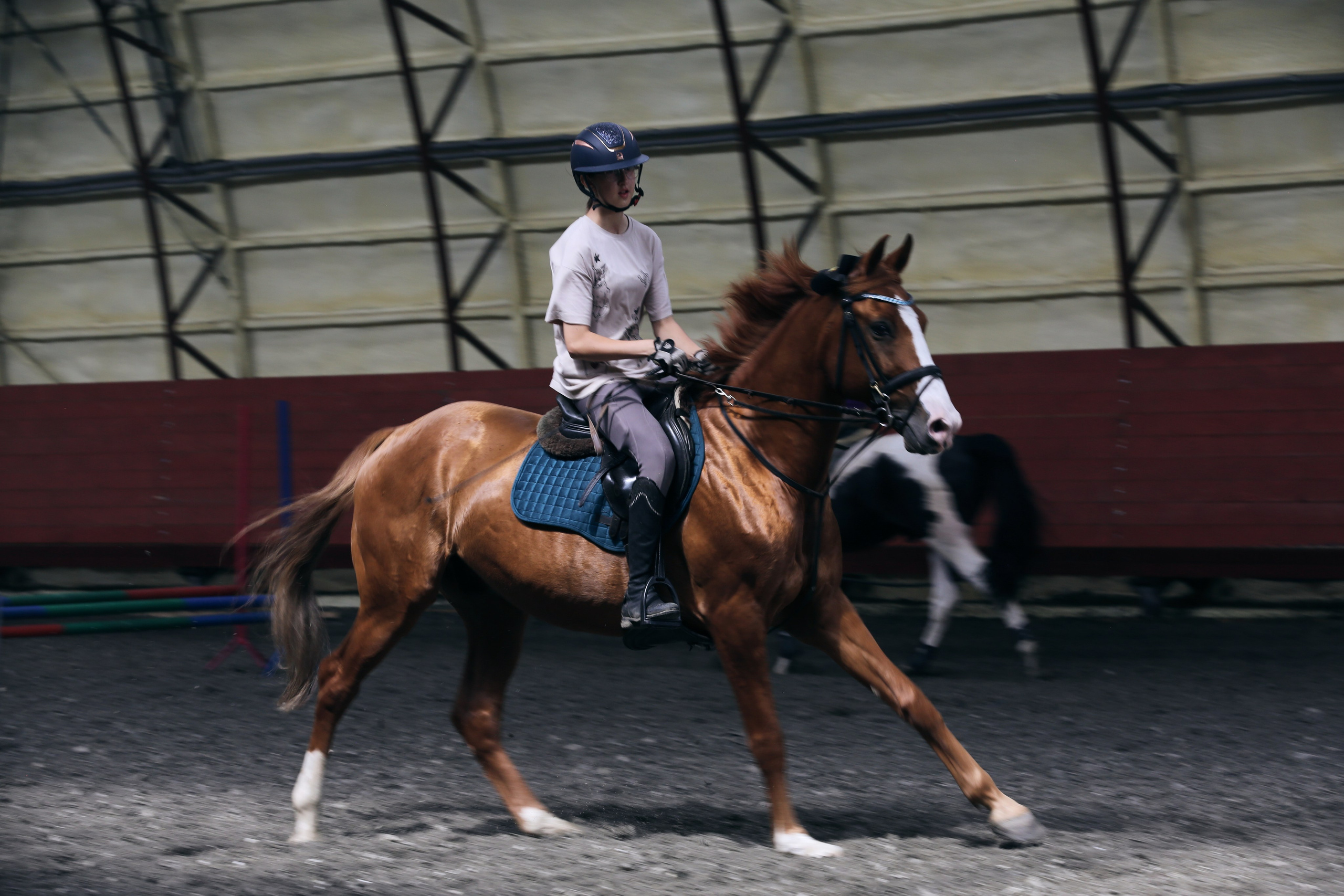 In a horse club NIMB. Фотограф Антонина Гудкова