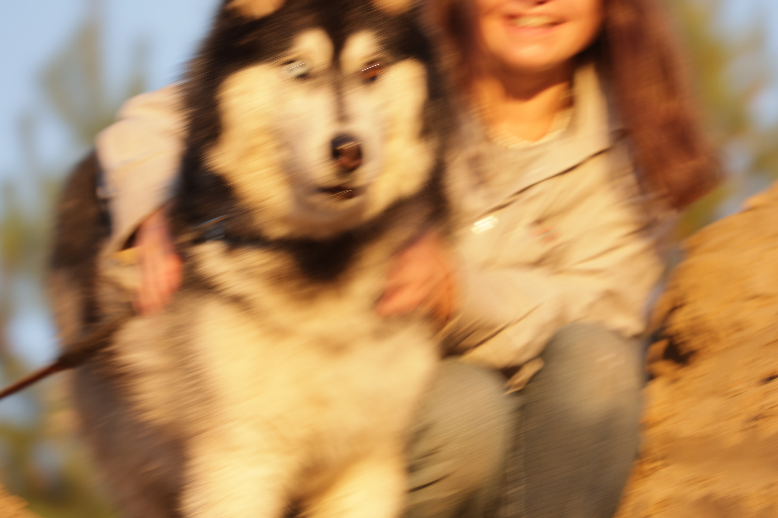 Маугли-тусовка. Фотограф Антонина Гудкова