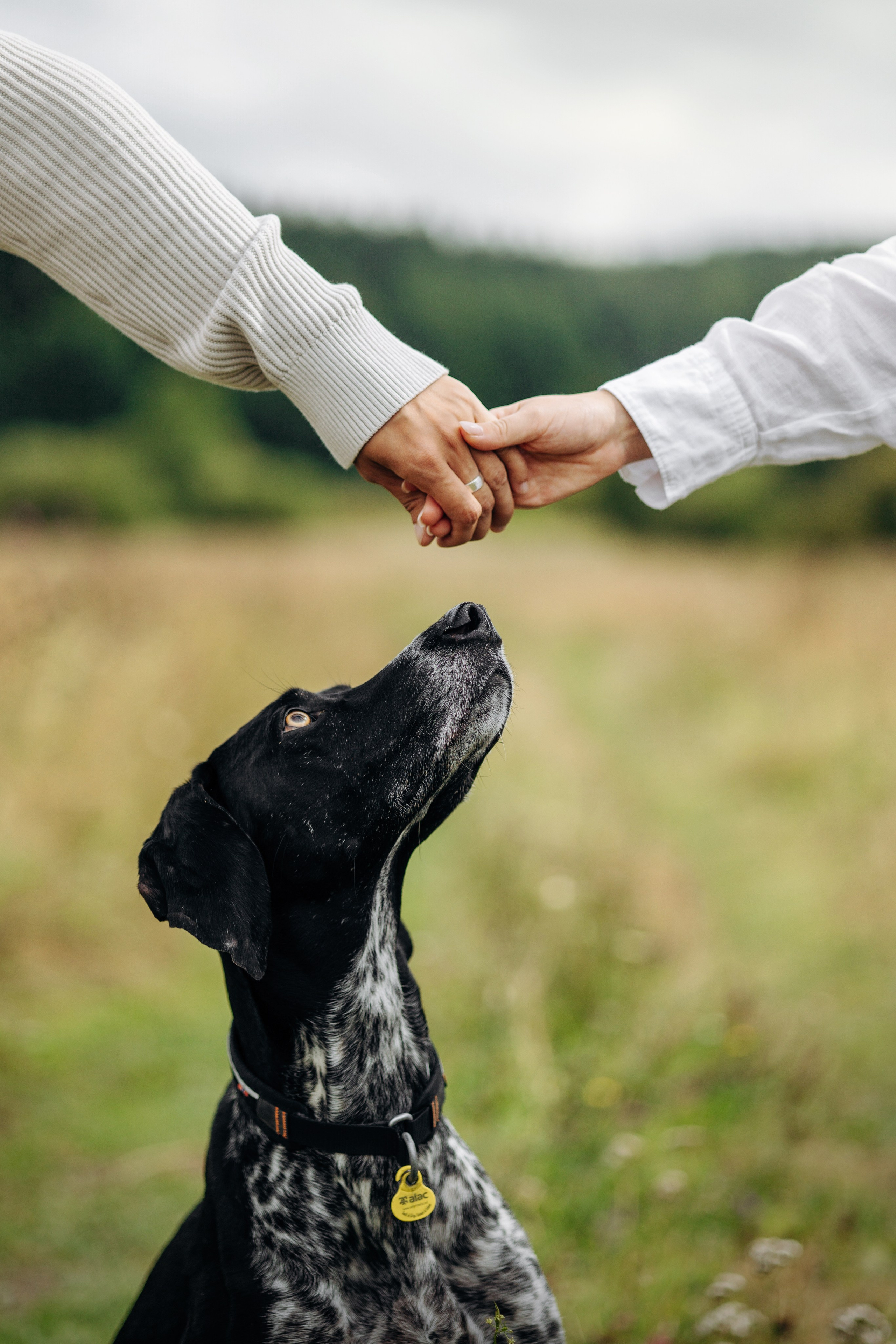 Хеликс и его семья. Фотограф — Анималист | Санкт-Петербург