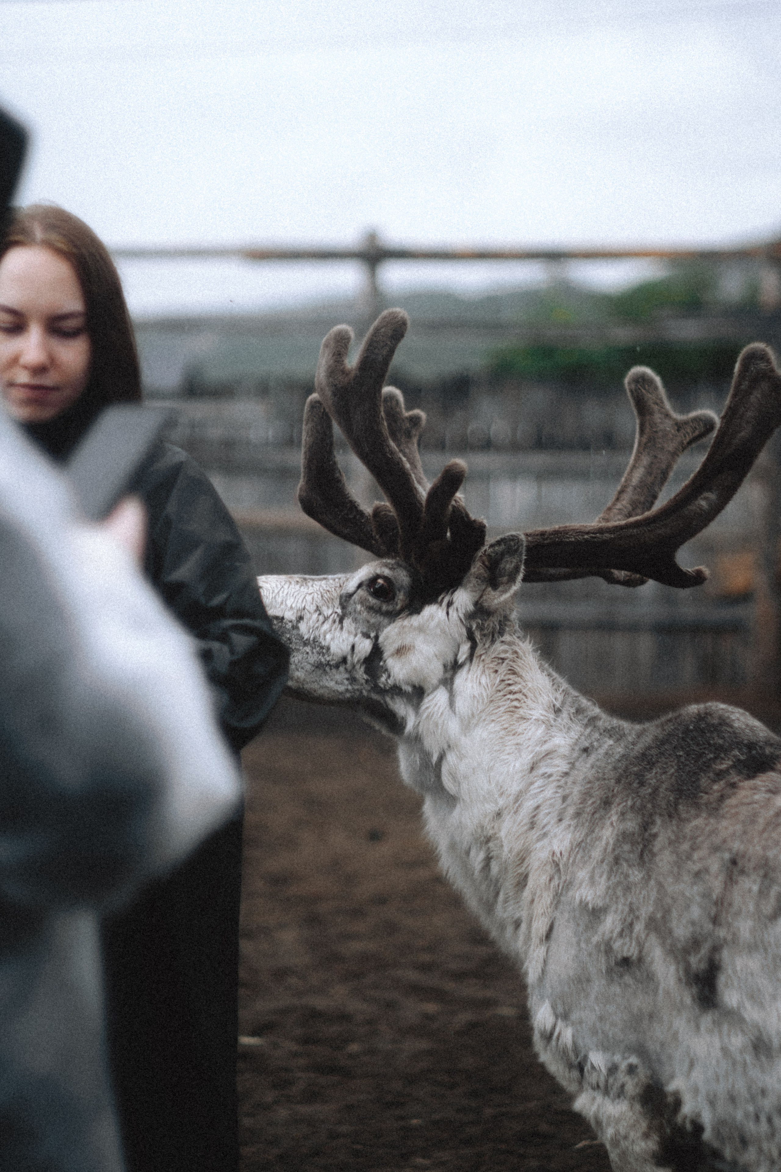 Териберка, Мурманск. Фотосъёмка для компании по организации туров в коллаборации с Яндекс 360