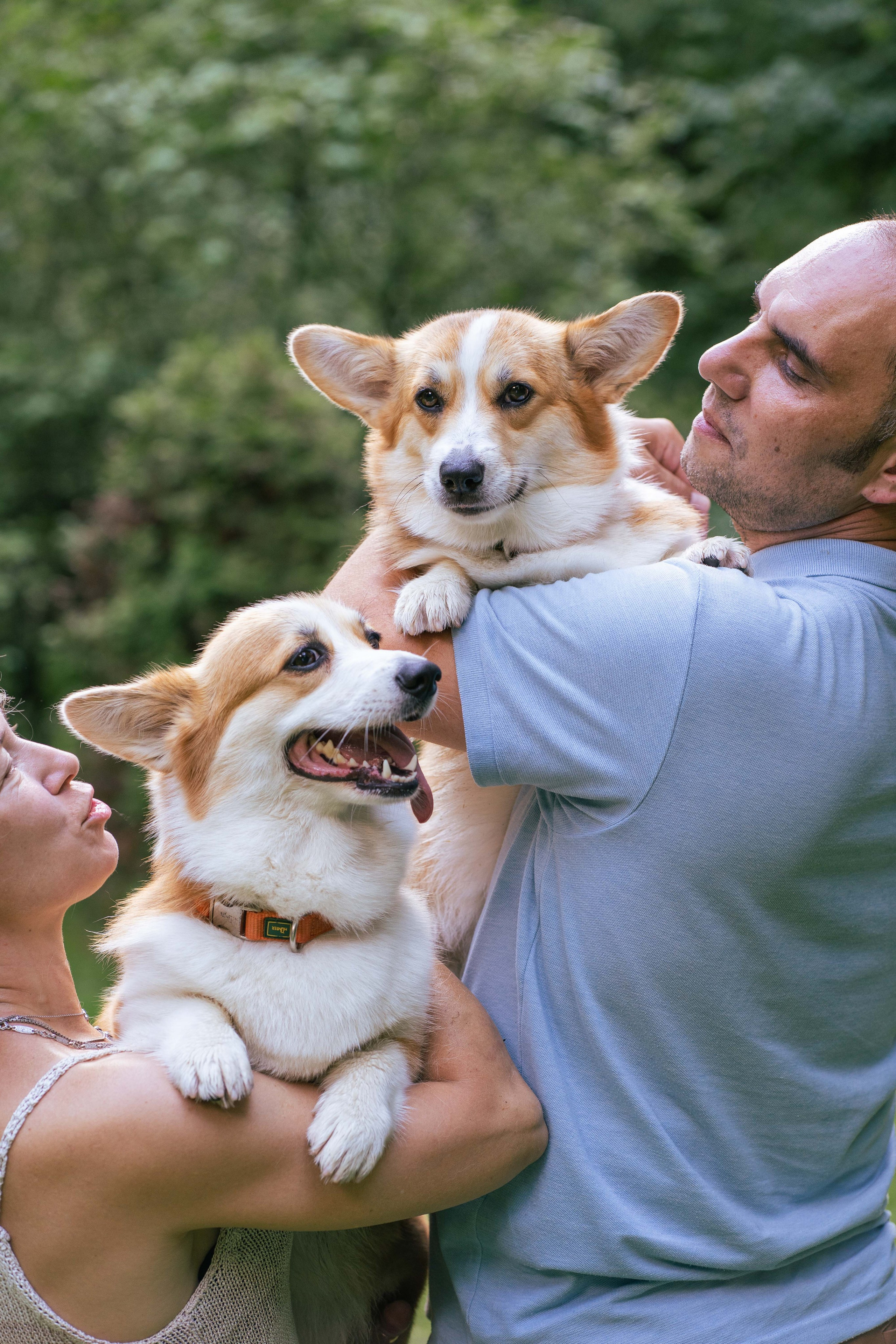 Ольга и коржики. Свадебный фотограф в Москве Анна Полушина