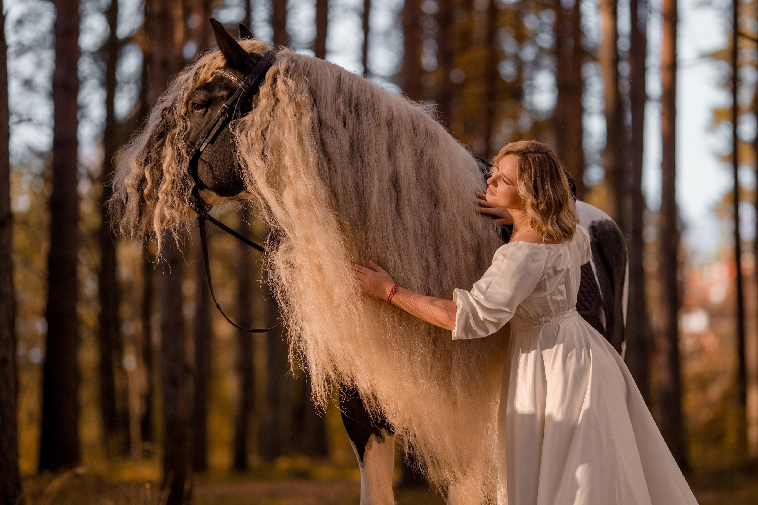 Фотосессии с лошадьми в Санкт-Петербурге