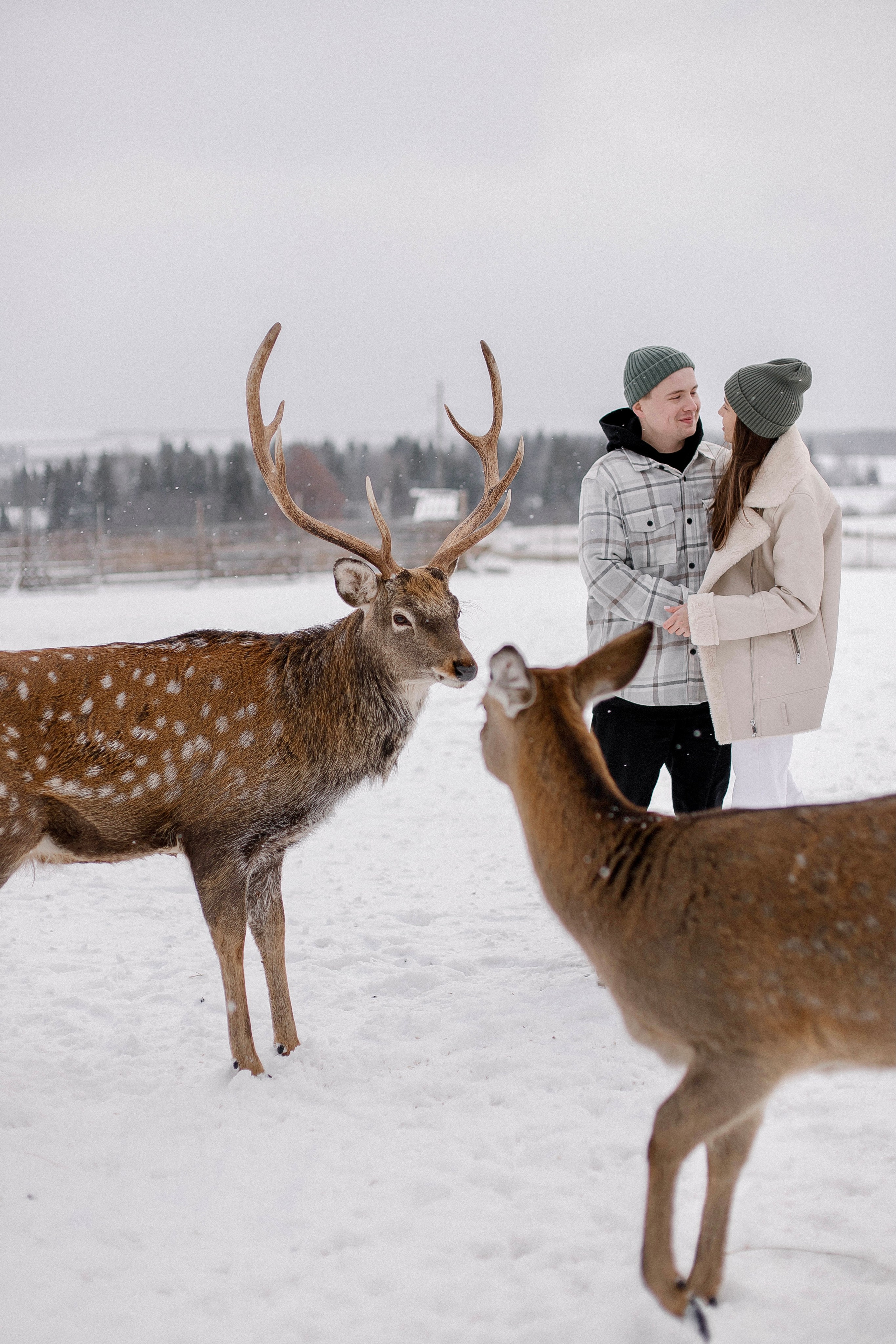 Ленар и Лейсан. Свадебный и семейный фотограф в Казани Aileen