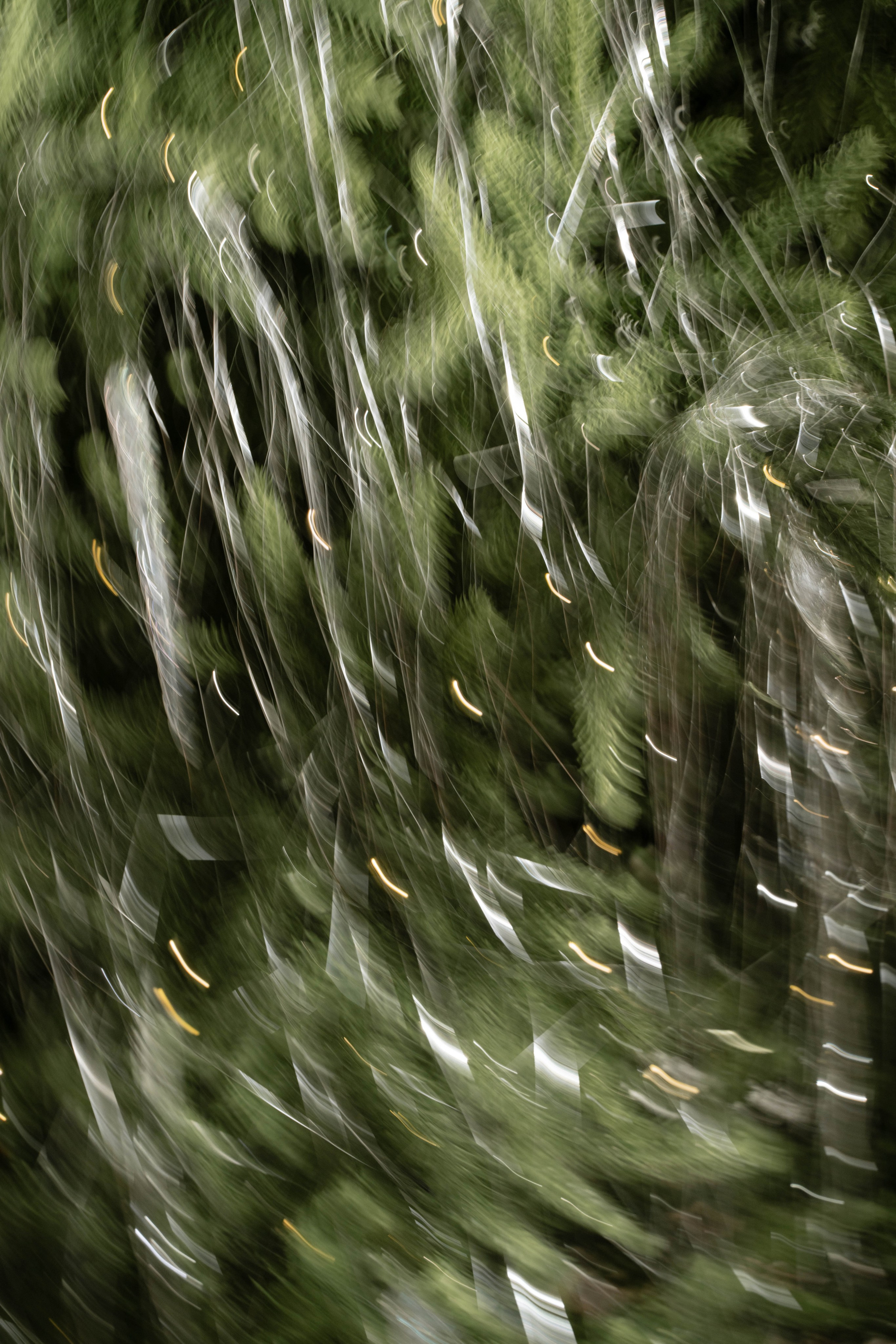 AURA. Свадебный фотограф в Краснодаре и Санкт-Петербурге Евгения Алексеева