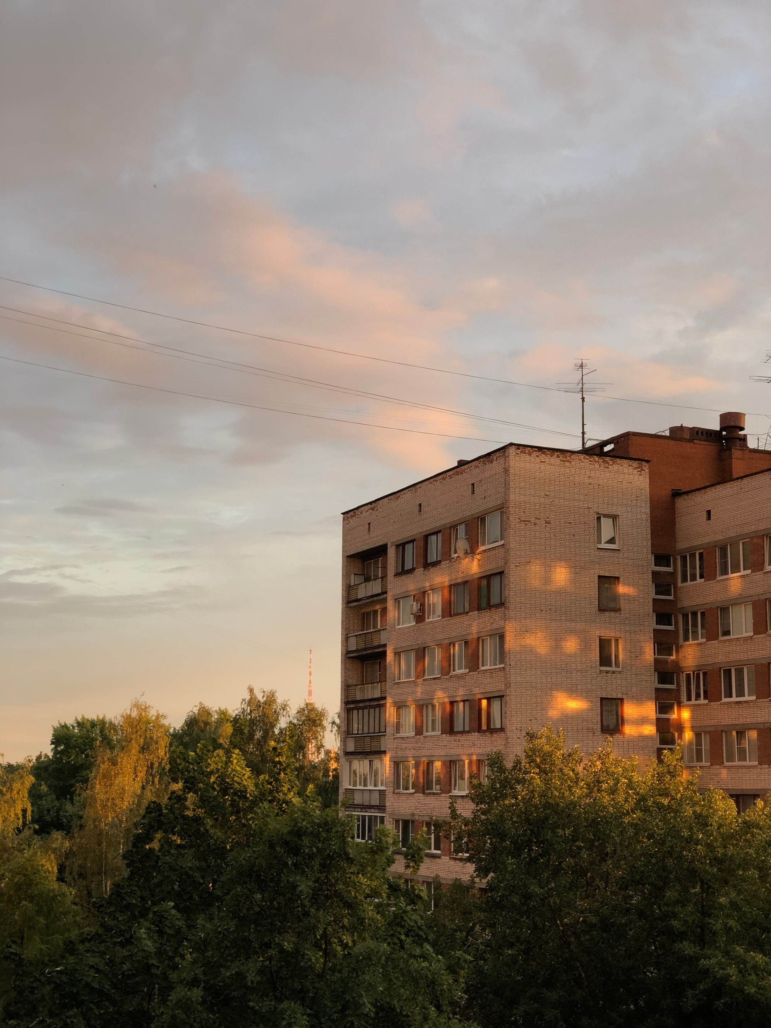 Июль. Семейный, Свадебный фотограф СПБ Питер— Романова Екатерина