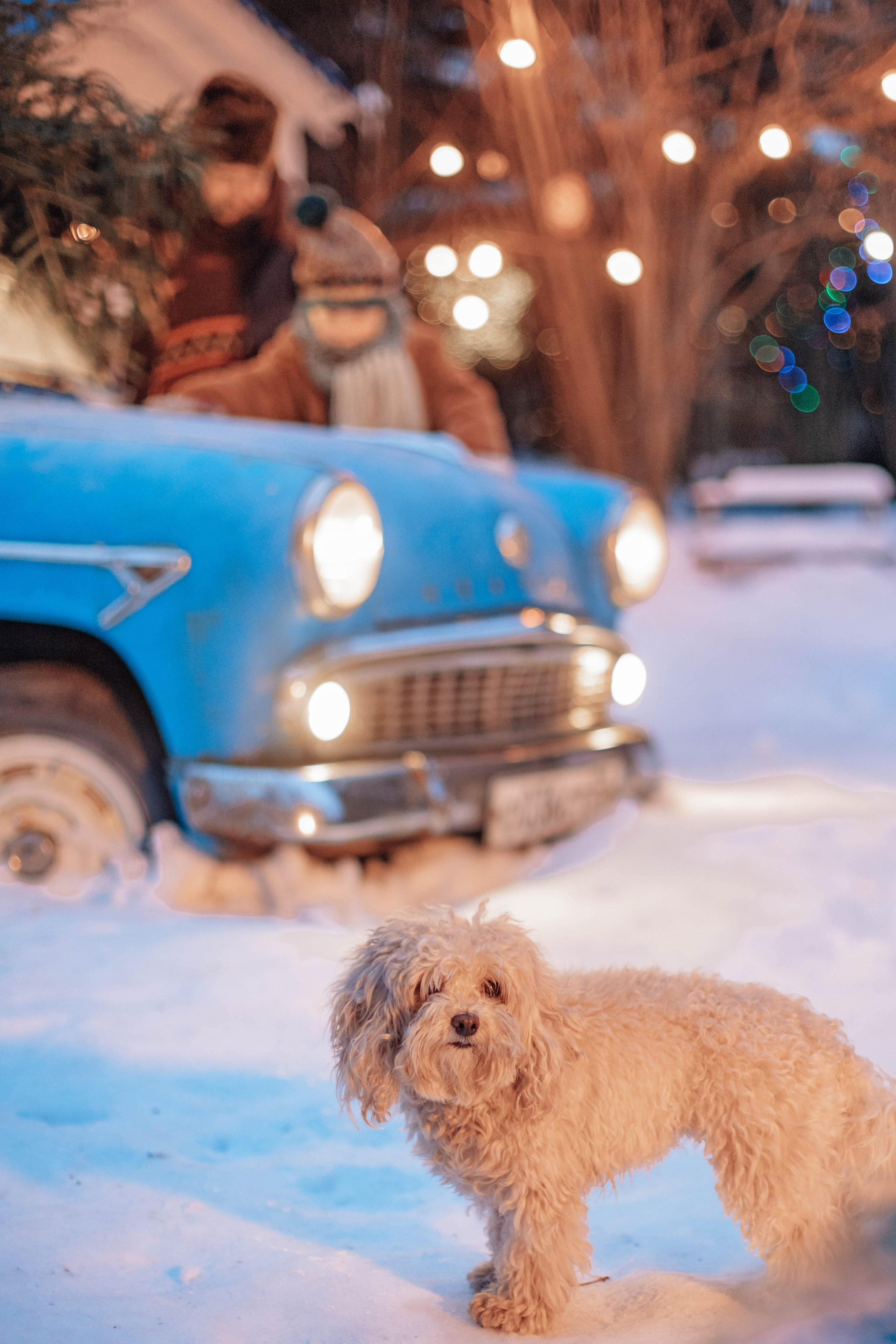 У бабушки и дедушки. Семейный фотограф Москва Ирина Малышева