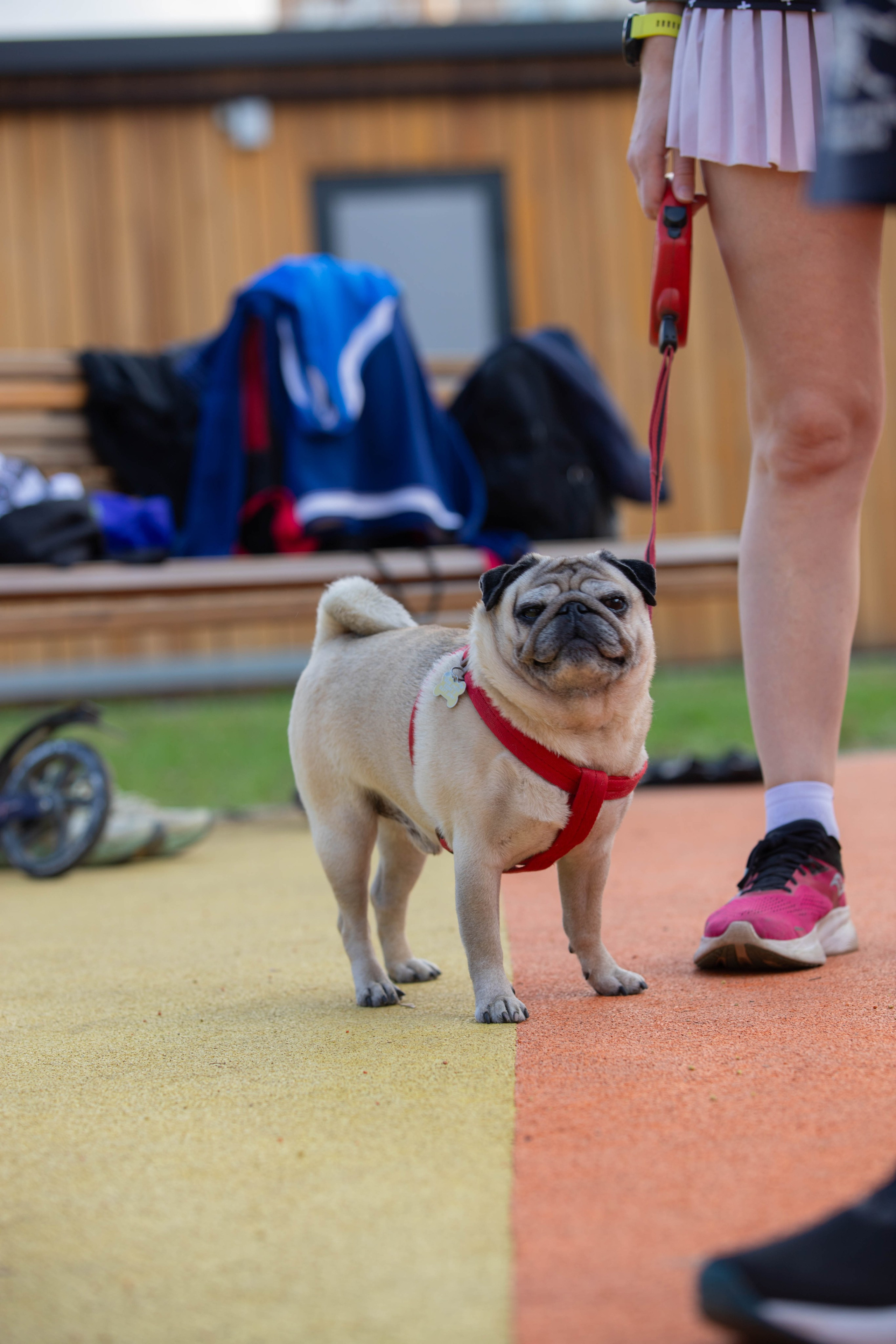 5 верст Бабушкинская. Александра Мельниченко/ Бегающий фотограф