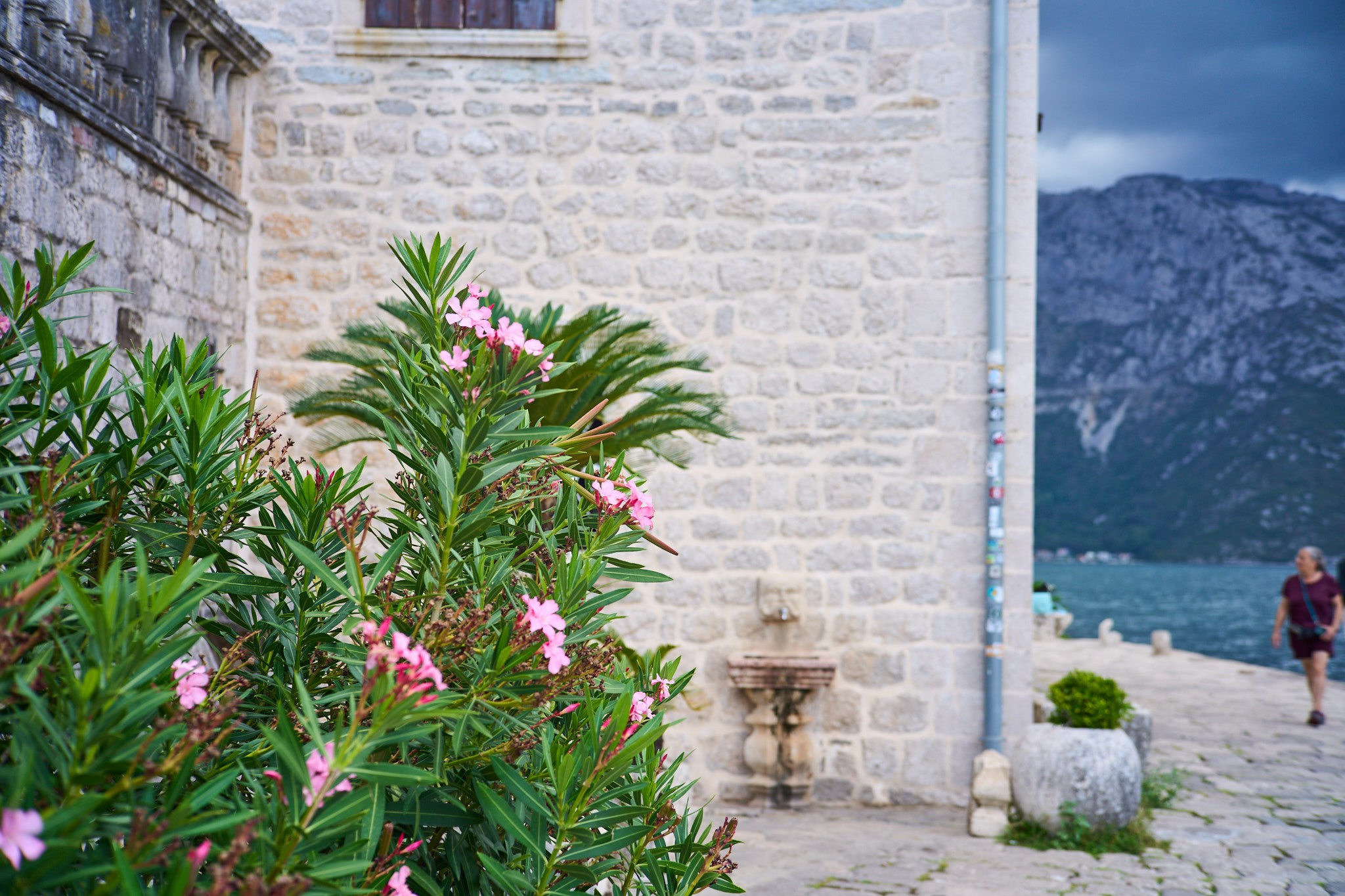 Черногория, сентябрь 2024. Фотограф, Римма Невинская