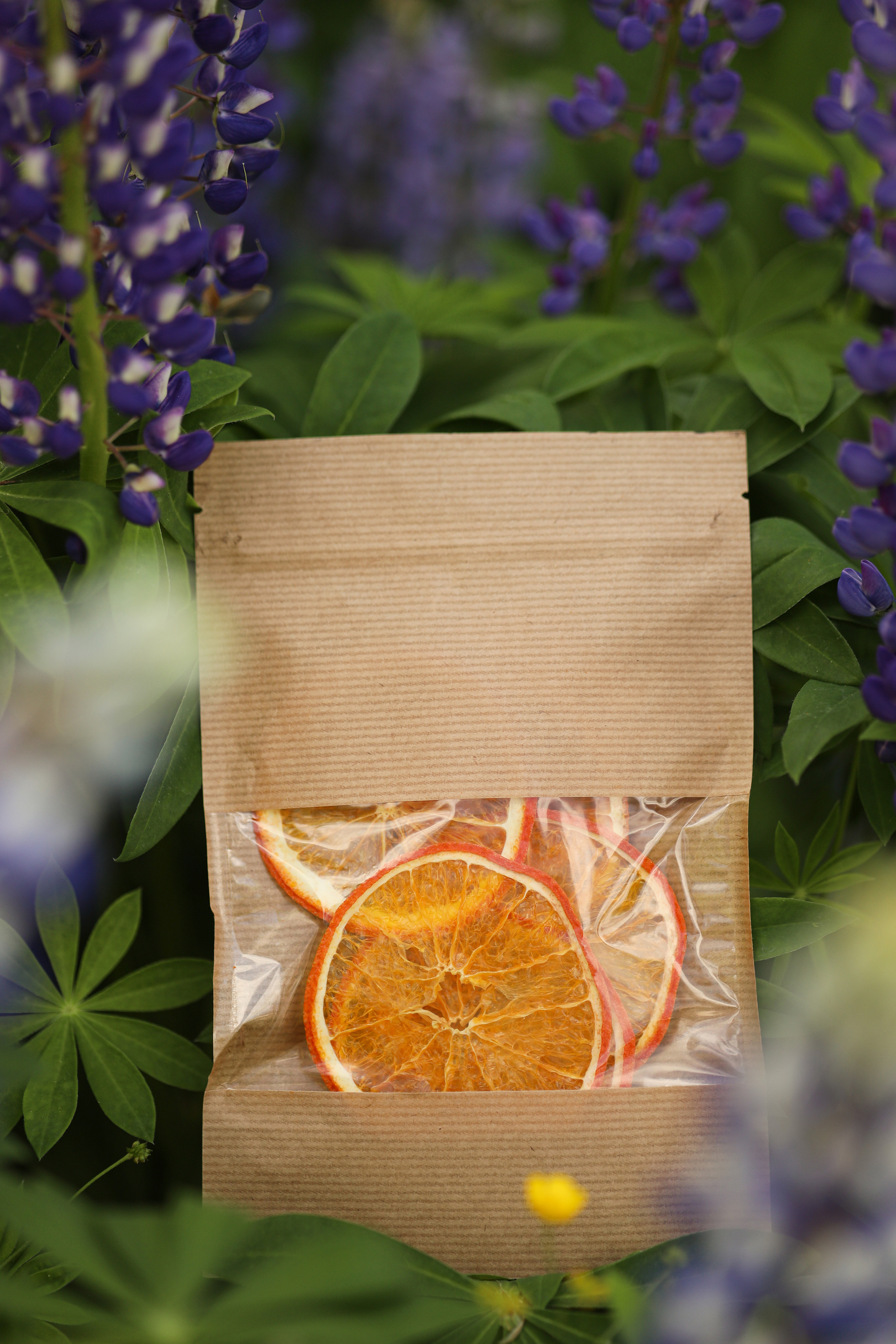 Вкусный закуток — пастила и фруктовые чипсы. Семейный и детский фотограф Монахова Екатерина, Москва