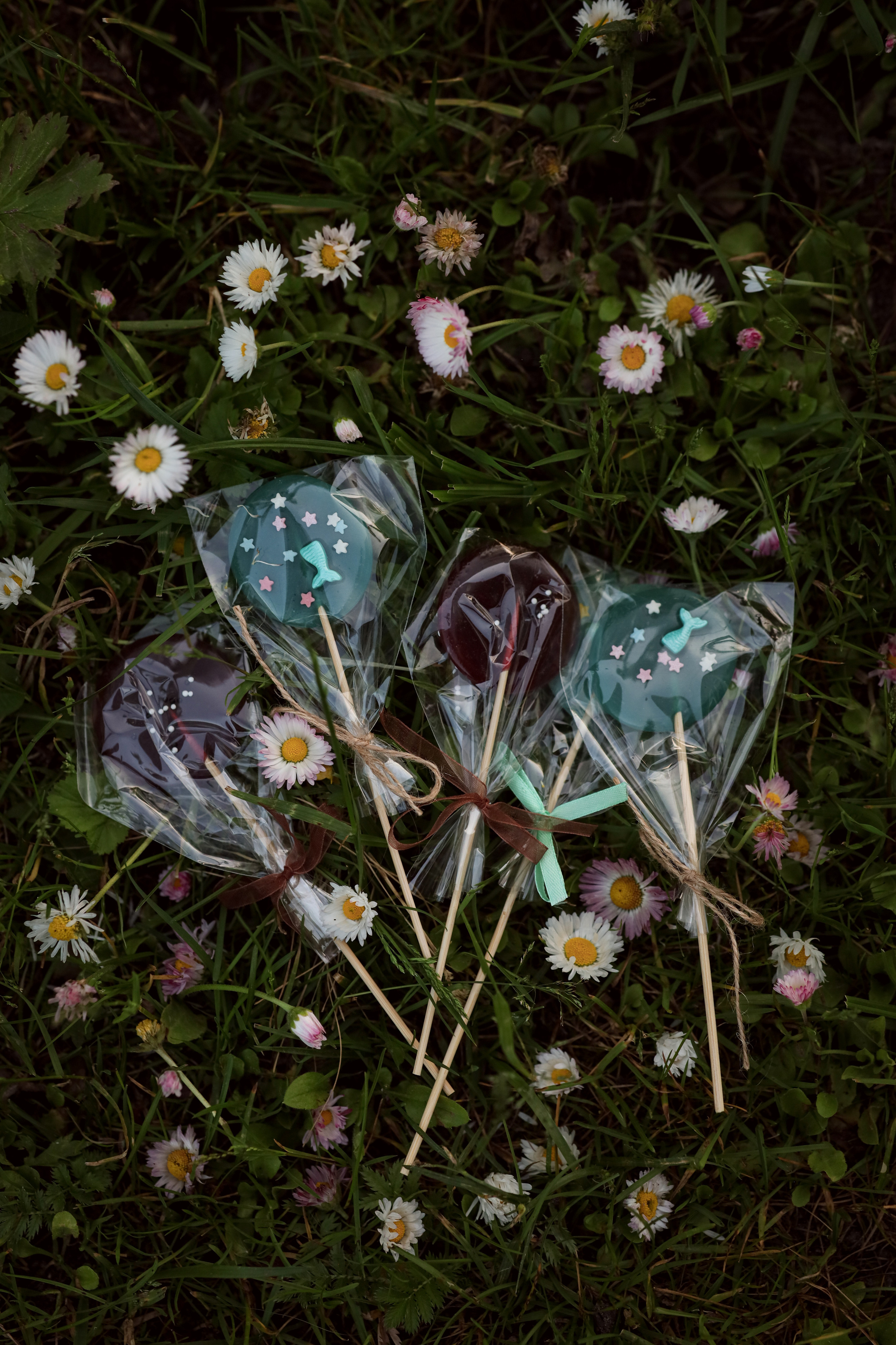 Вкусный закуток — пастила и фруктовые чипсы. Семейный и детский фотограф Монахова Екатерина, Москва