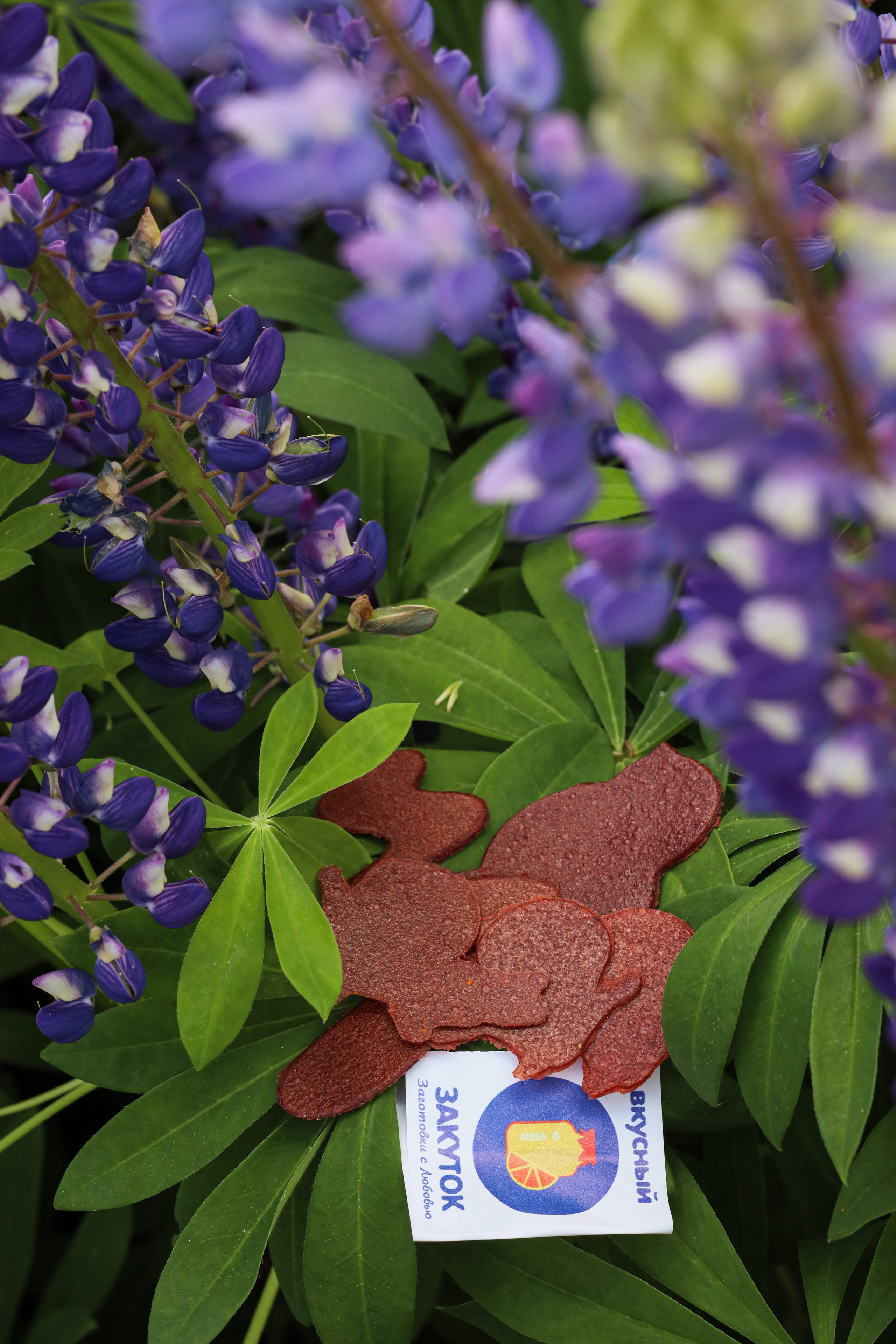 Вкусный закуток — пастила и фруктовые чипсы. Семейный и детский фотограф Монахова Екатерина, Москва