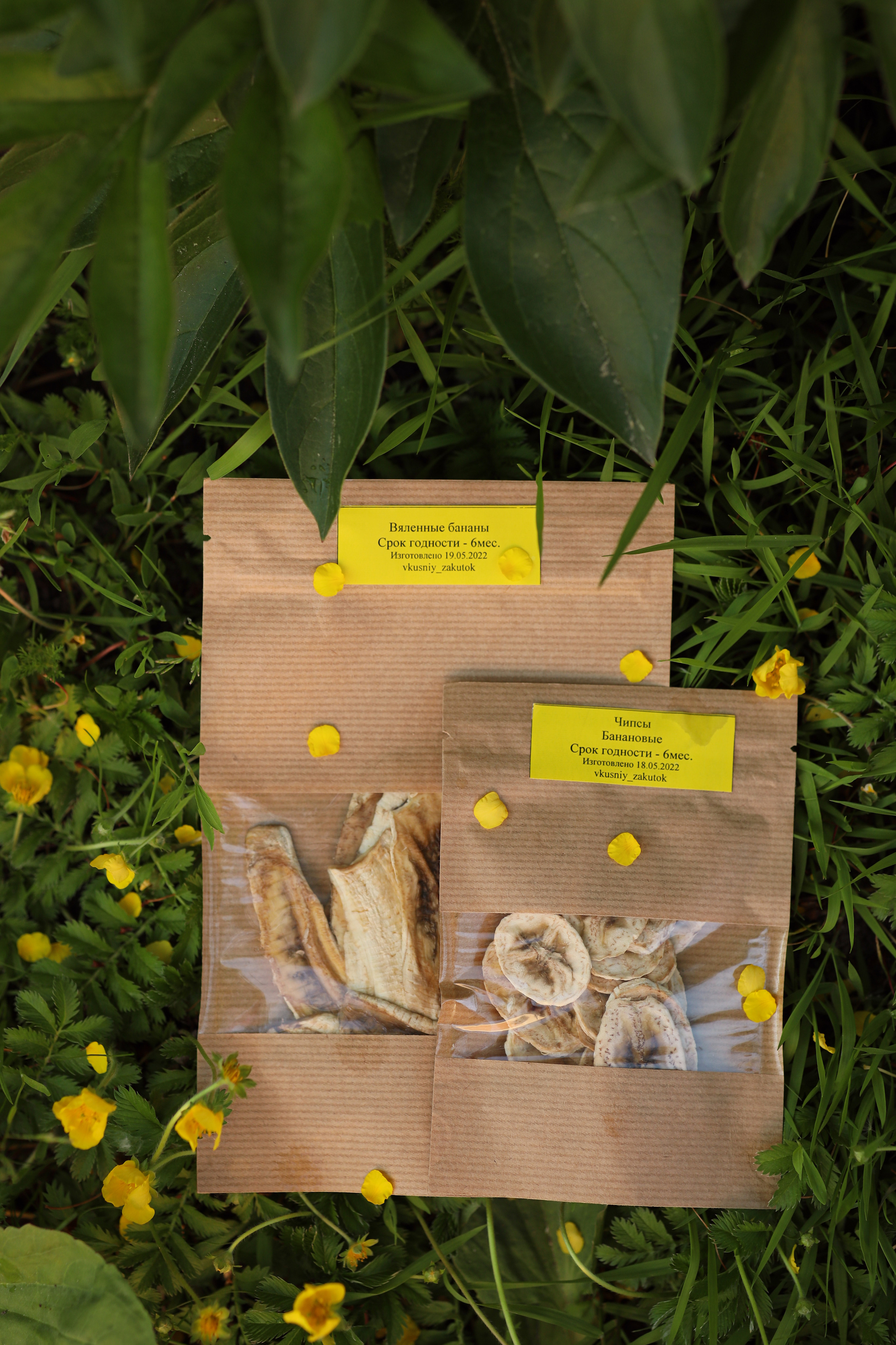 Вкусный закуток — пастила и фруктовые чипсы. Семейный и детский фотограф Монахова Екатерина, Москва